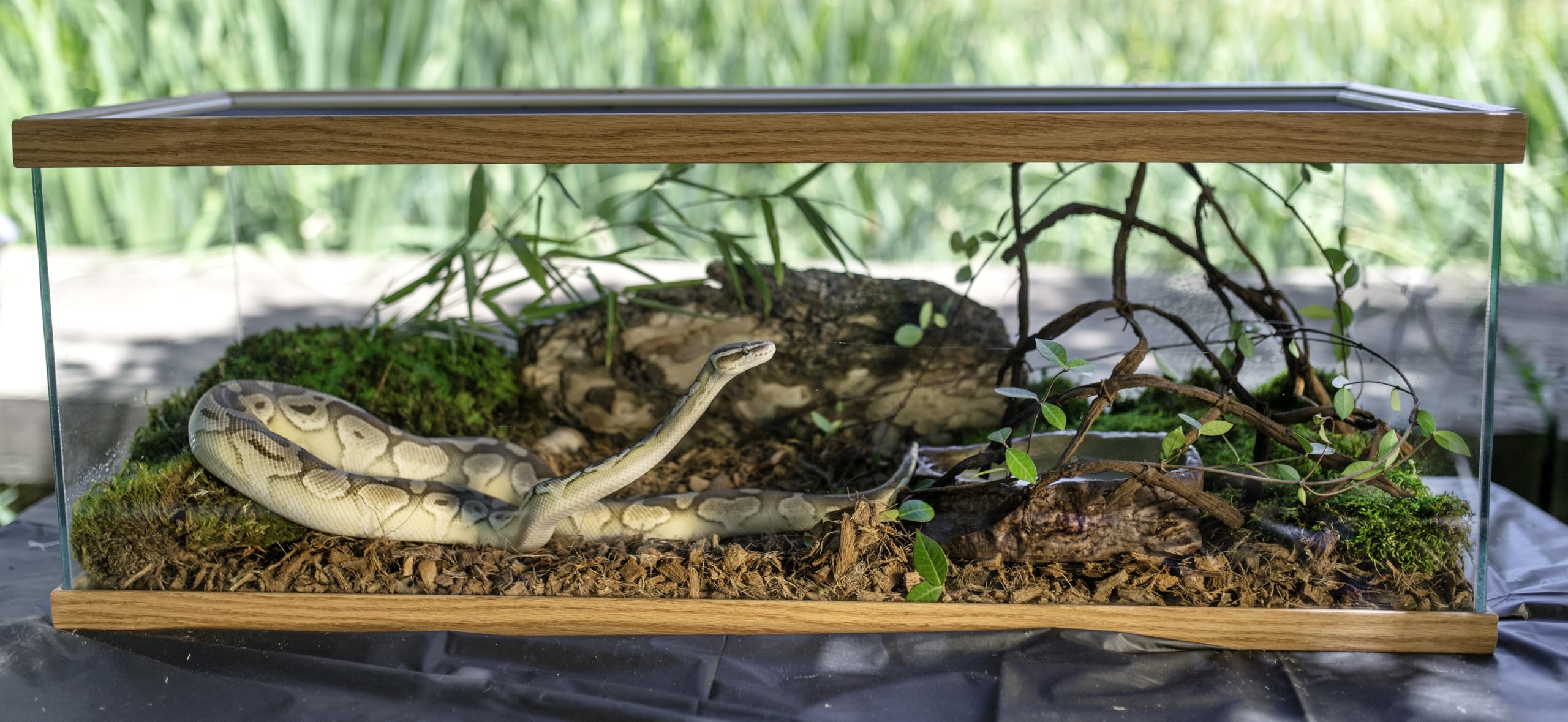 Tropicoco Husk Natural Coconut Husk Bedding