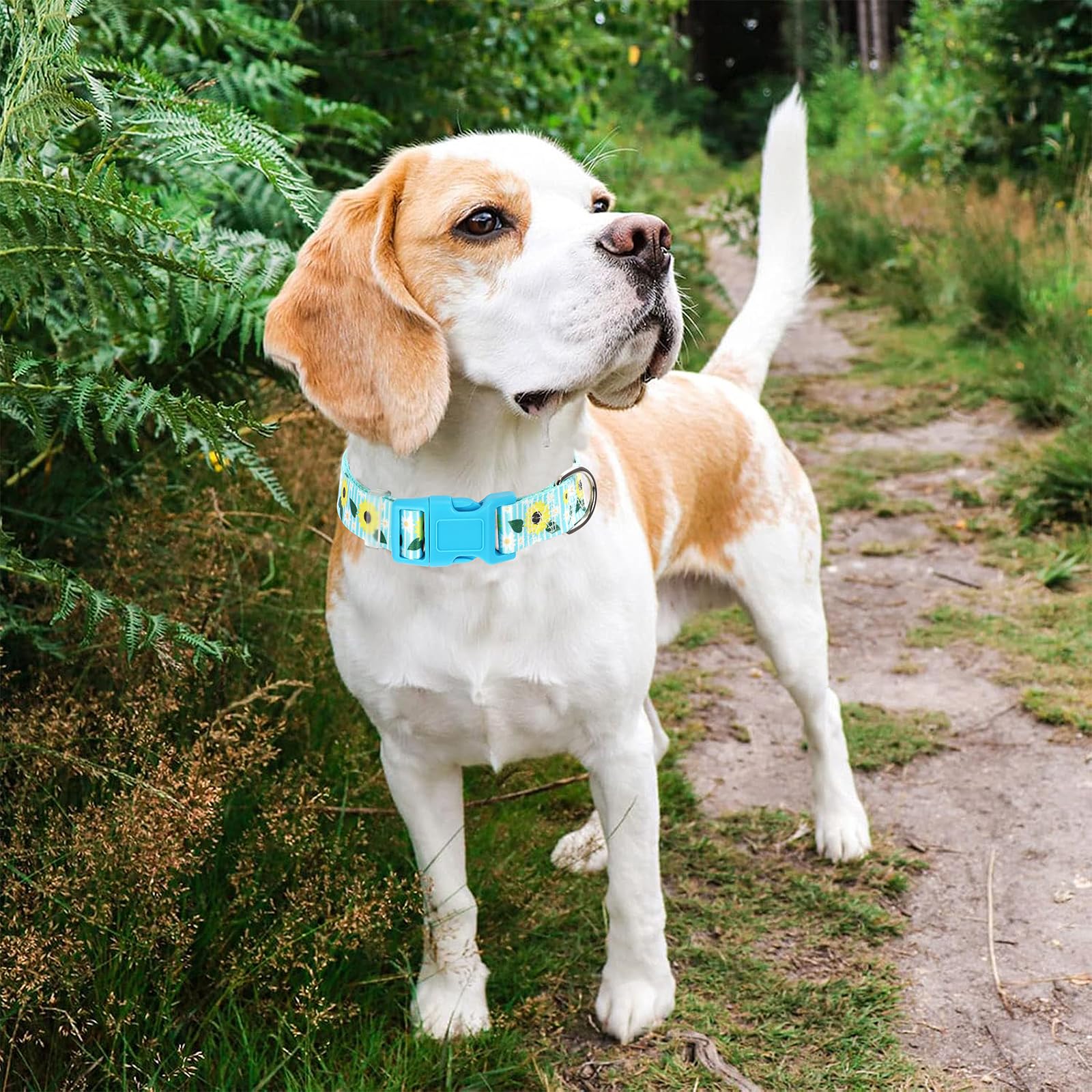 Bule Dog Collars For Extra Large Dogs,Cute Girl Dog Collar With Sunflower Patterns,Adjustable Comfy Soft Durable Pet Collar For