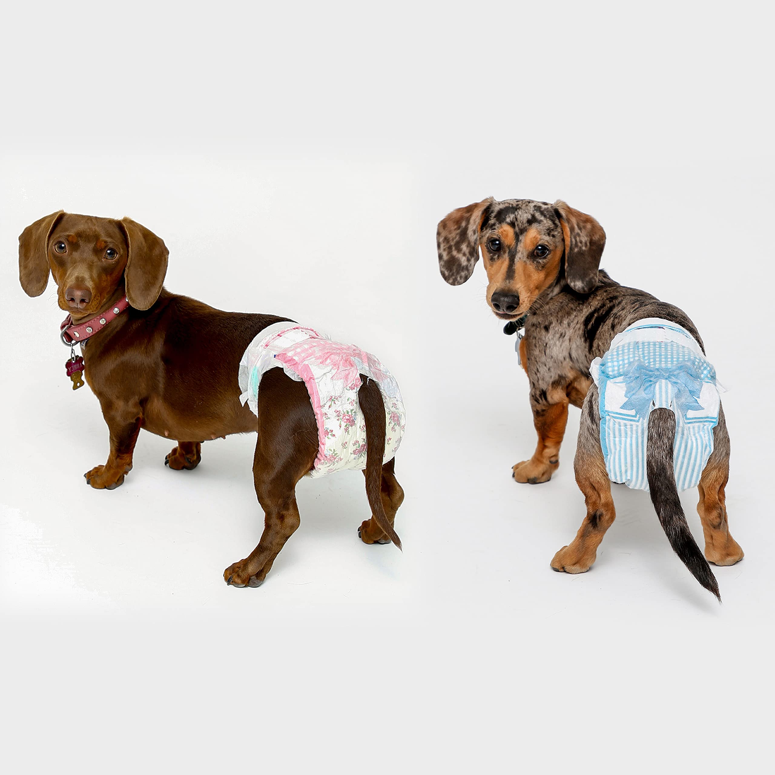 Hartz Disposable Dog Diapers, Size S (36 Count), Comfortable Fit, Pink/Blue, Model 032700112424