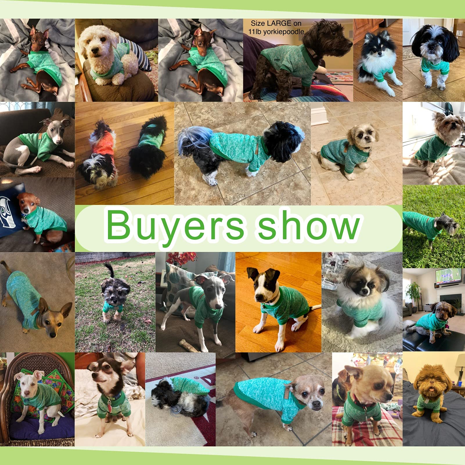 Jecikelon Pet Dog Clothes Dog Sweater Soft Thickening Warm Pup Dogs Shirt Winter Puppy Sweater For Dogs (Green, M)