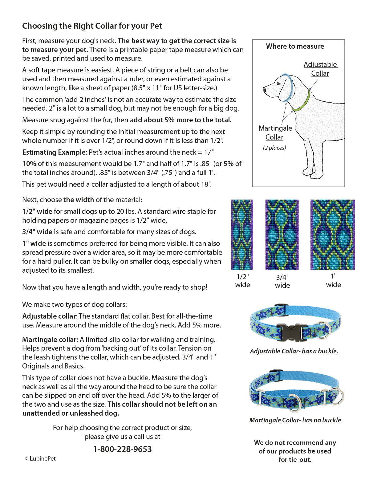 Martingale Dog Collar by Lupine ECO Collection 3/4 Wide Berry adjusts 14 to 20