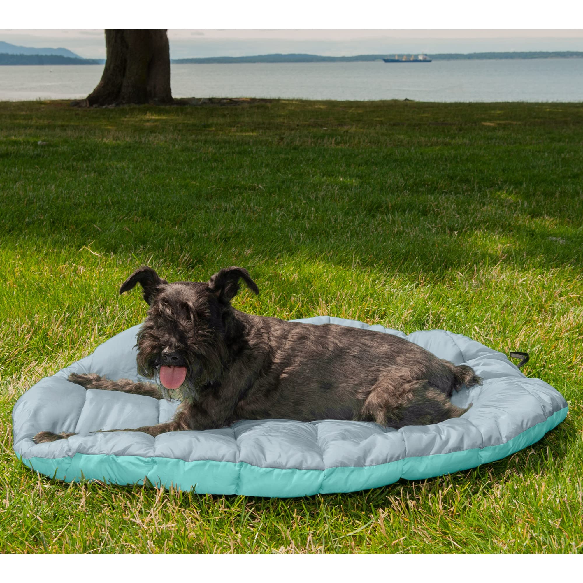 Furhaven Outdoor Travel Dog Bed for Small Dogs w/ Carry Bag, Washable & Foldable, Great for Crates & Kennels - Trail Pup Travel