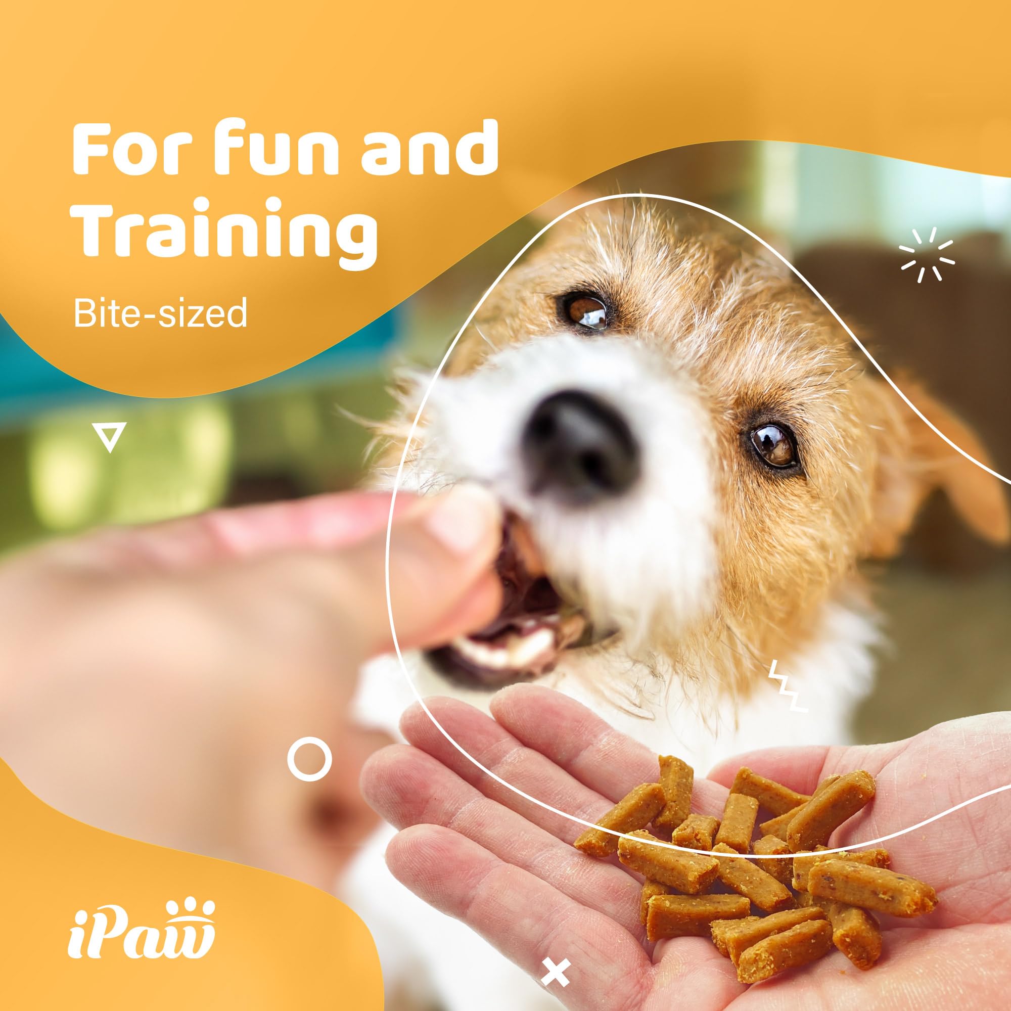 iPaw Dog Treats for Puppy Training, All Natural Human Grade Dog Treat, Hypoallergenic, Easy to Digest (Fish and Cheese Bites)