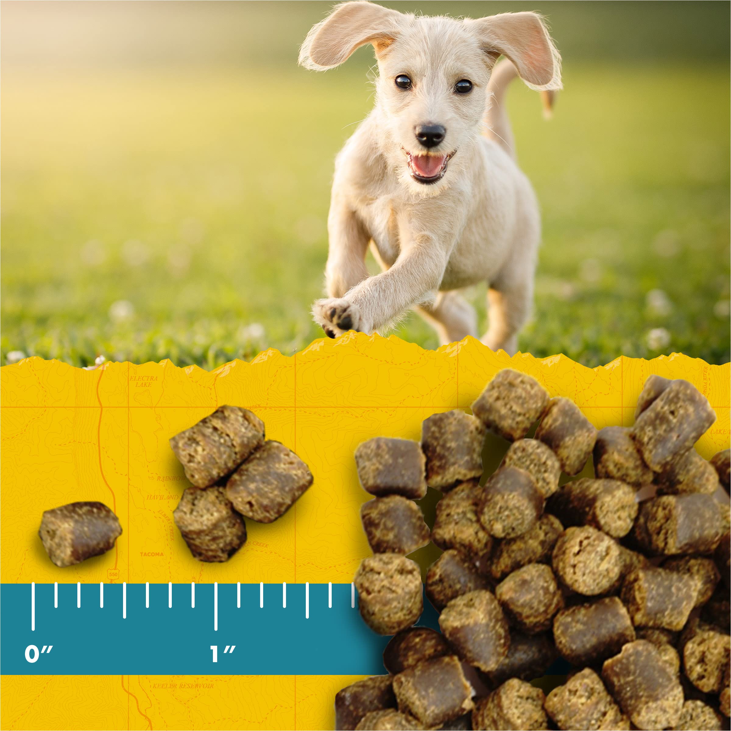 Zukes Puppy Naturals Dog Treats Lamb & Chickpea, 5 Ounce (Pack of 2)