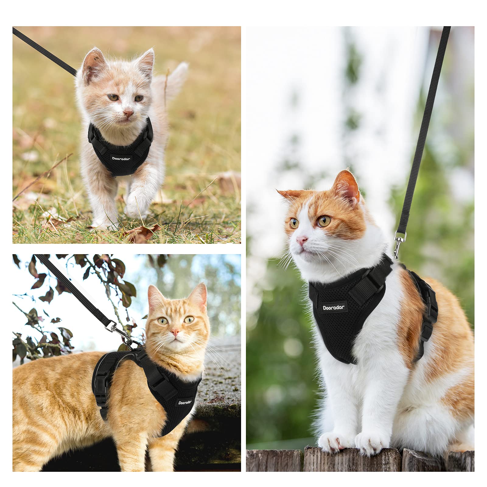 Dooradar Cat Harness And Leash Set, Escape Proof Safe Adjustable Kitten Vest Harnesses For Walking, Easy Control Soft Breathable Mesh Jacket With Reflective Strips For Cats, Black, Xs