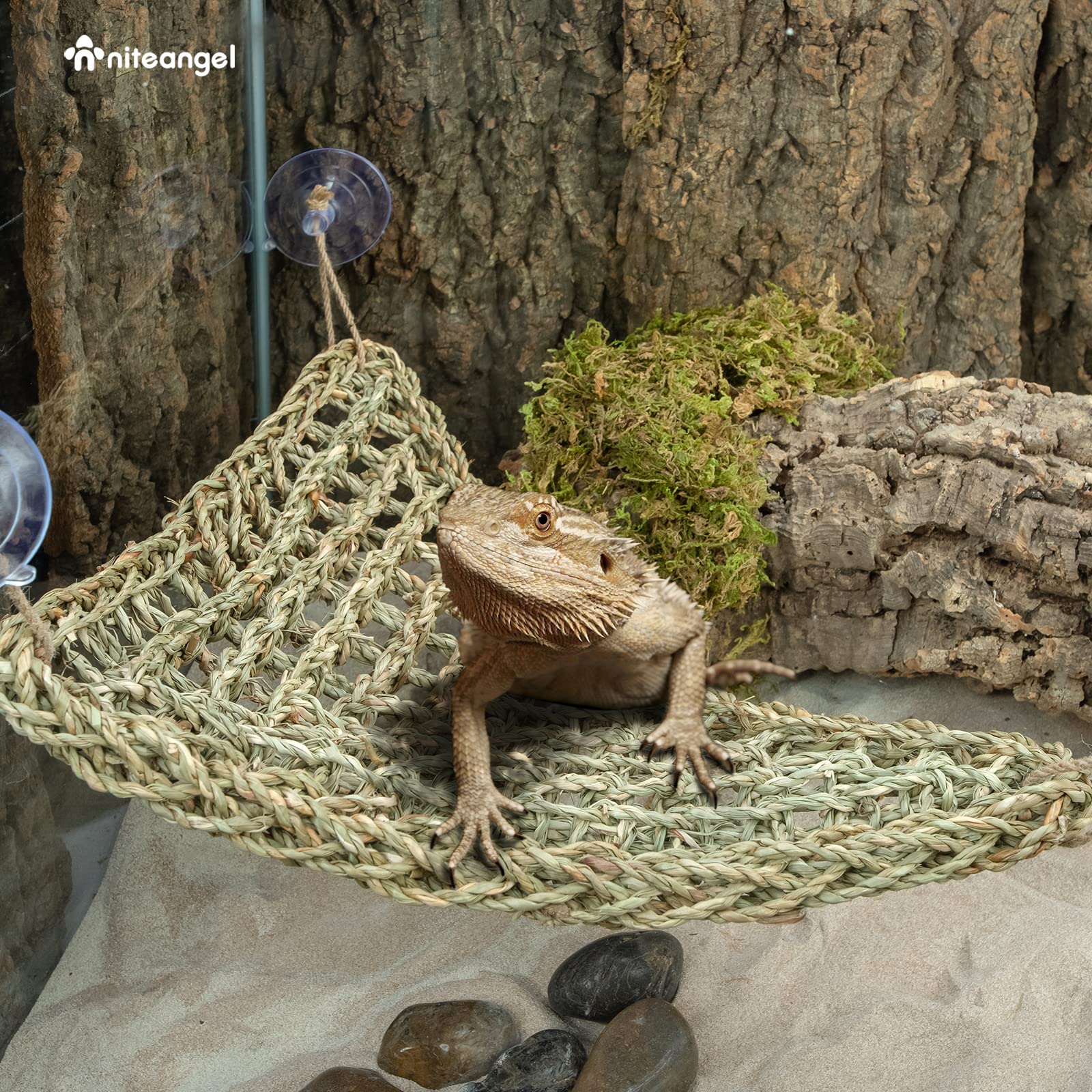 Niteangel Bearded Dragon Hammock Reptile Lounger For Chameleon, Lizards, Gecko, Snakes, Lguana Reptiles, Geckos (Triangle 17'' X 12.5'')