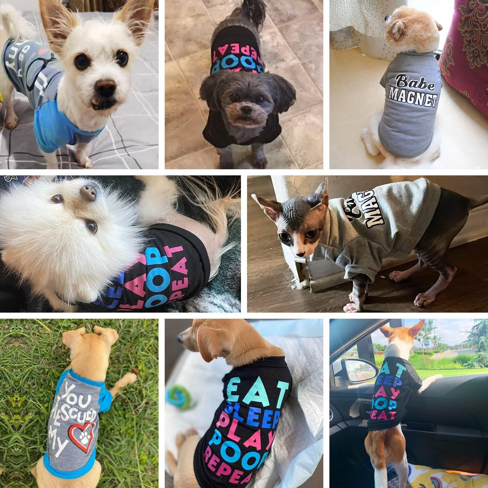 Petcare 3 Pack Dog Clothes For Small Dogs Boy Yorkie Chihuahua Shih Tzu Cute Puppy Clothes Soft Breathable Dog Shirts Pet Clothi