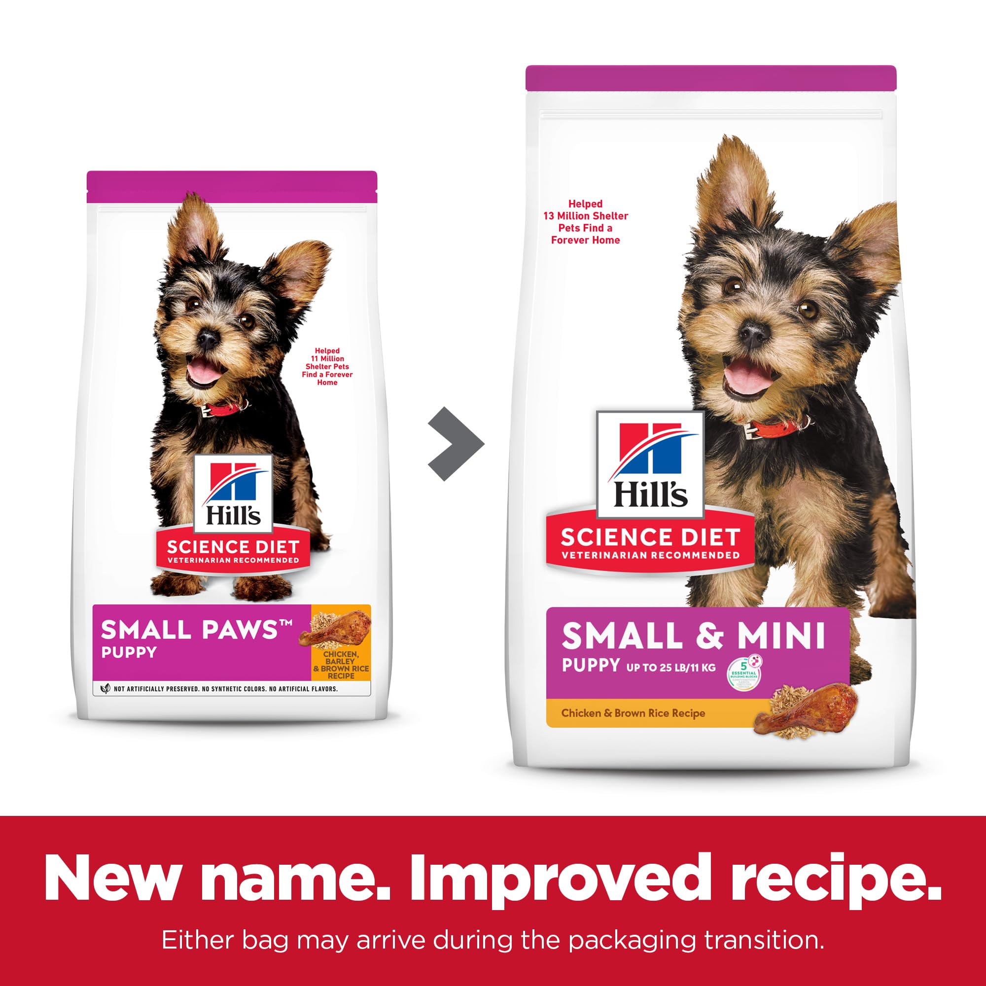 Hills Science Diet Puppy Small & Mini Breeds Dry Dog Food, Chicken & Barley, 12.5 lb Bag
