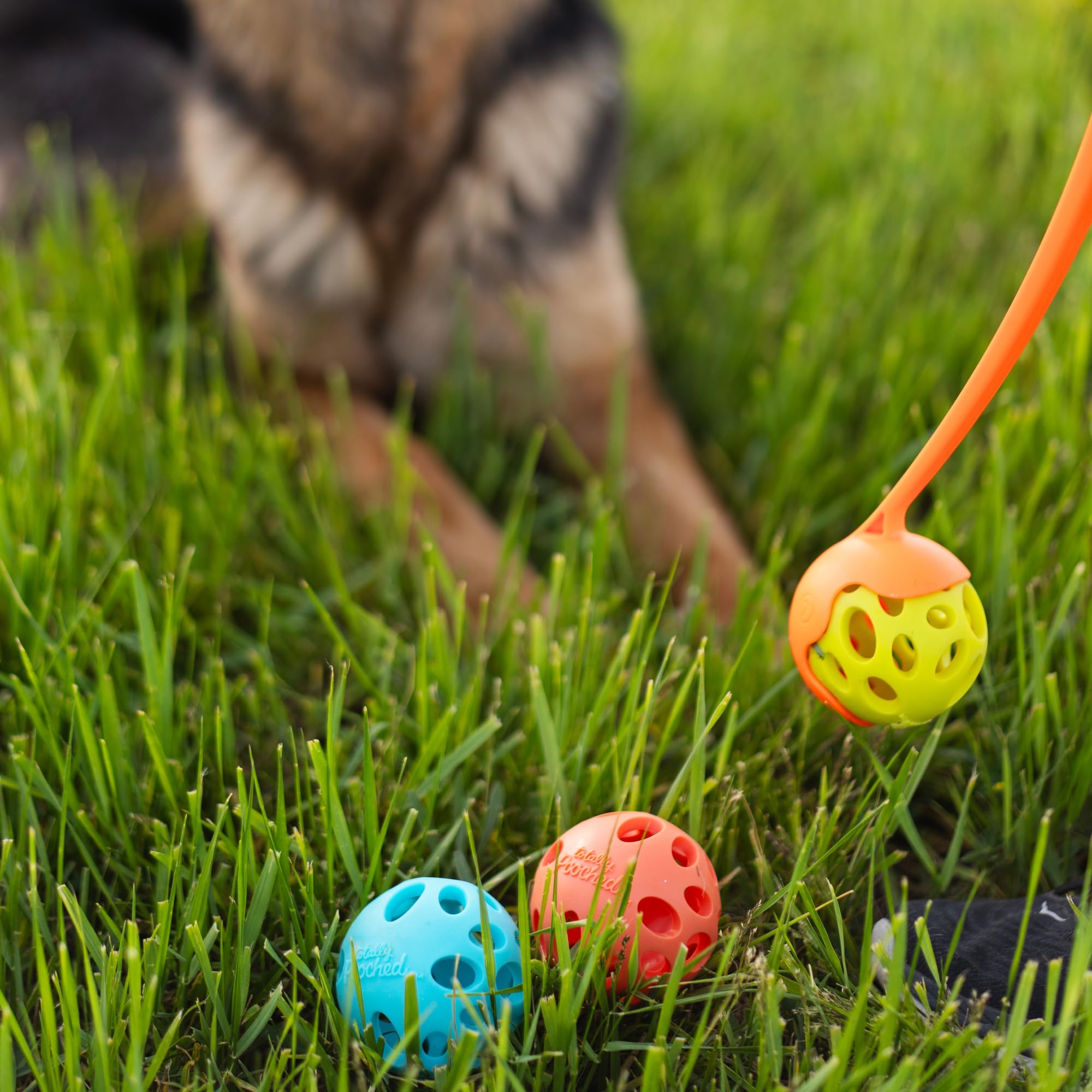 Messy Mutts Totally Pooched Huff'N Puff Ball | 2.5?Tpr Puzzle Ball For Dogs | 2-In-1 Durable Interactive Toy And Tooth Cleaner | Teal