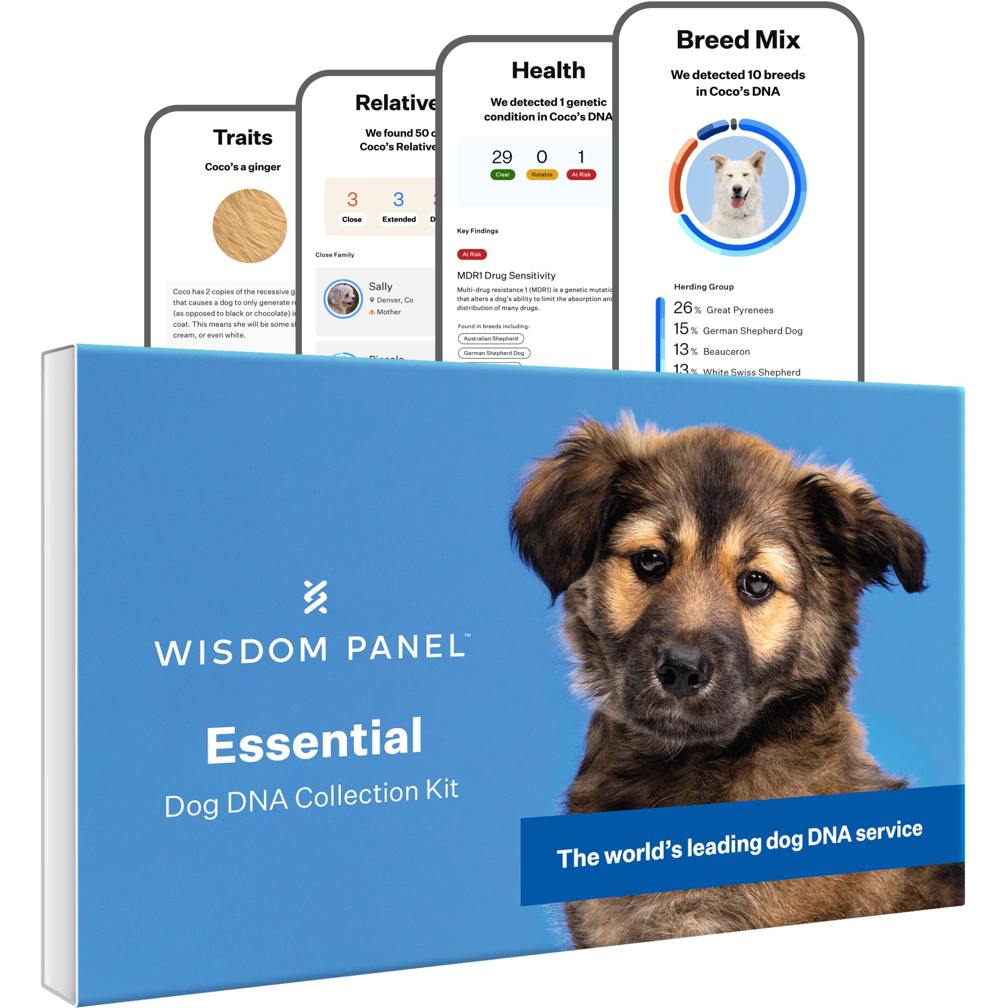Wisdom Panel Essential Dog DNA Kit: Most Accurate Test for 365+ Breeds, 30 Genetic Health Conditions, 50+ Traits, Relatives, Anc