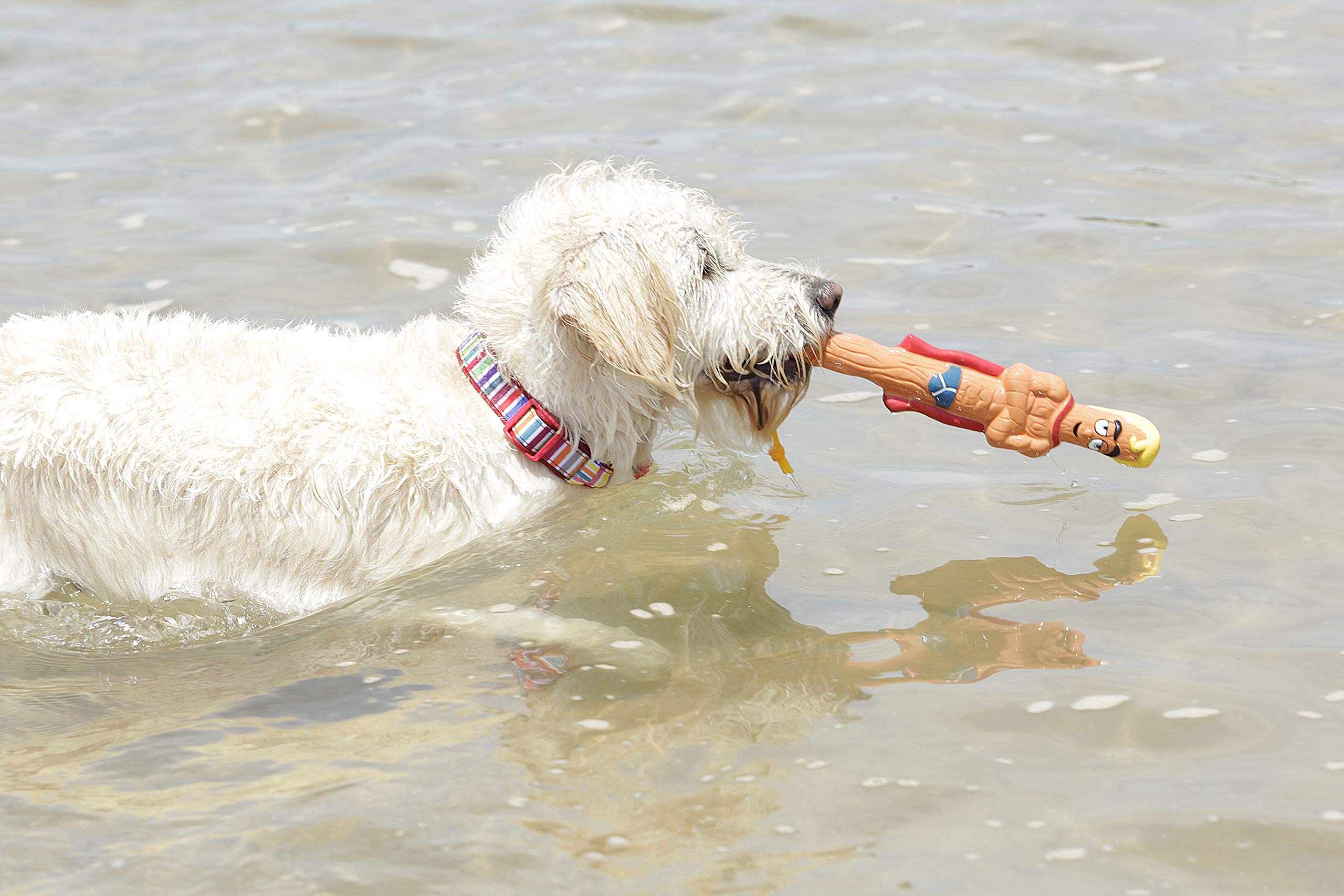 Doog - The Supersticks Captain Fantastic Fetch Toys Safer Than Real Sticks, Splinter Free, Glow-In-The-Dark Eyes, Floats, Easy To Clean