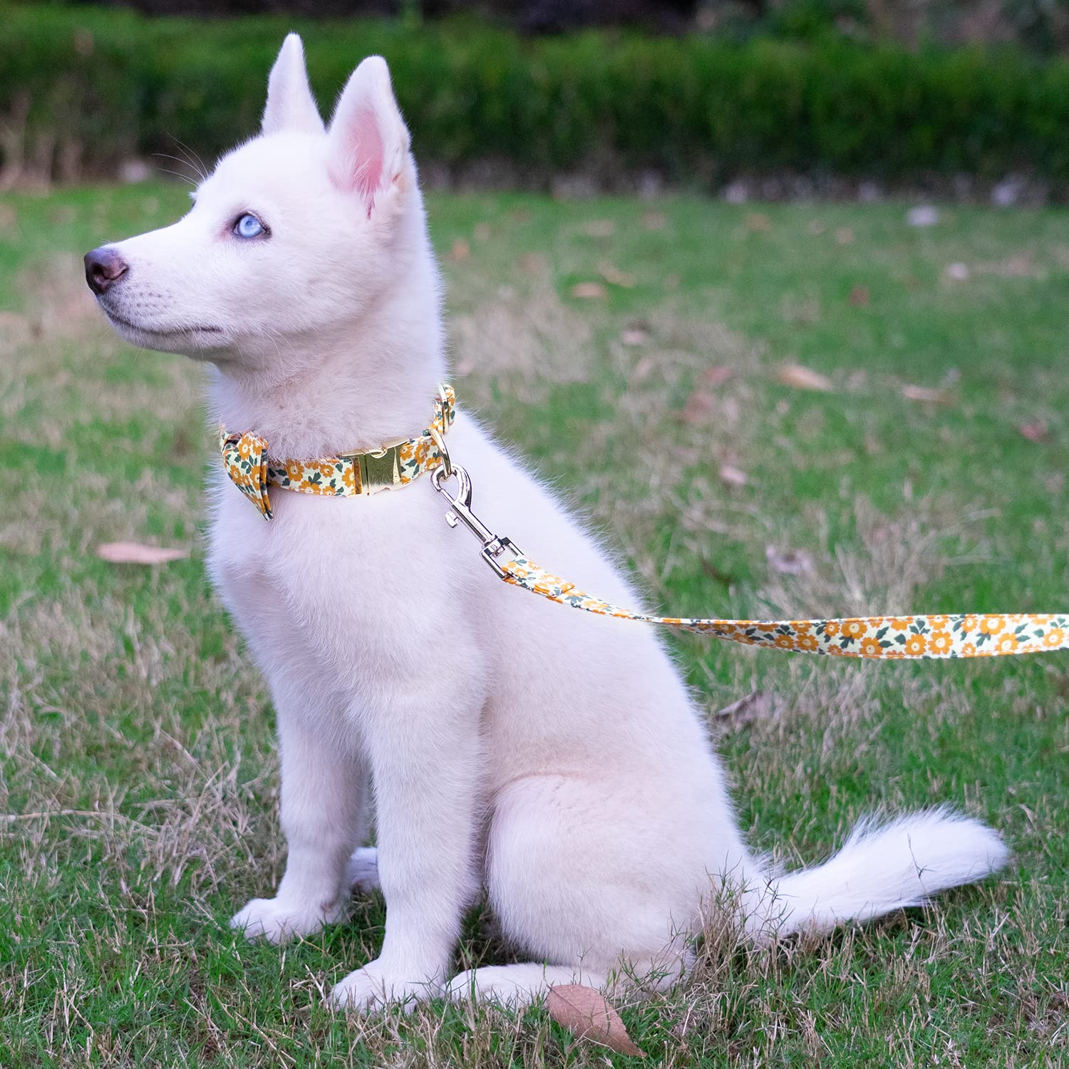 Tunkoo Dog Collar Floral With Elegant Bow Tie Soft Comfy Cotton Adjustable Collar, Premium Metal Buckle For Puppy And Cat Small