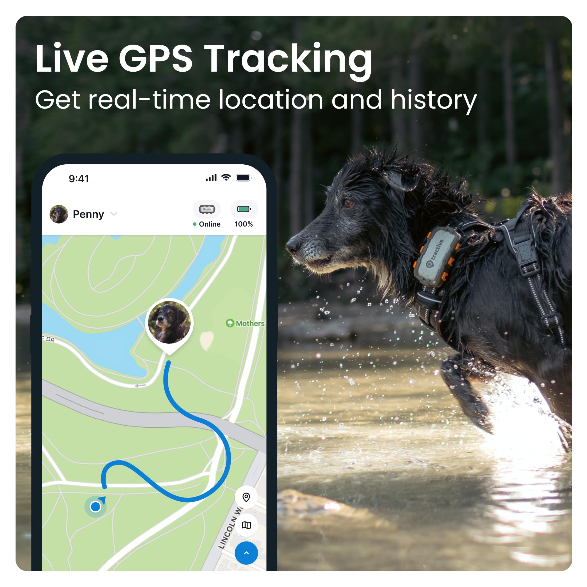 Tractive XL GPS Dog Tracker (50 lbs+) | Real-time Pet Location Tracker | Health & Wellness Alerts | Virtual Fence for Dogs | Dog