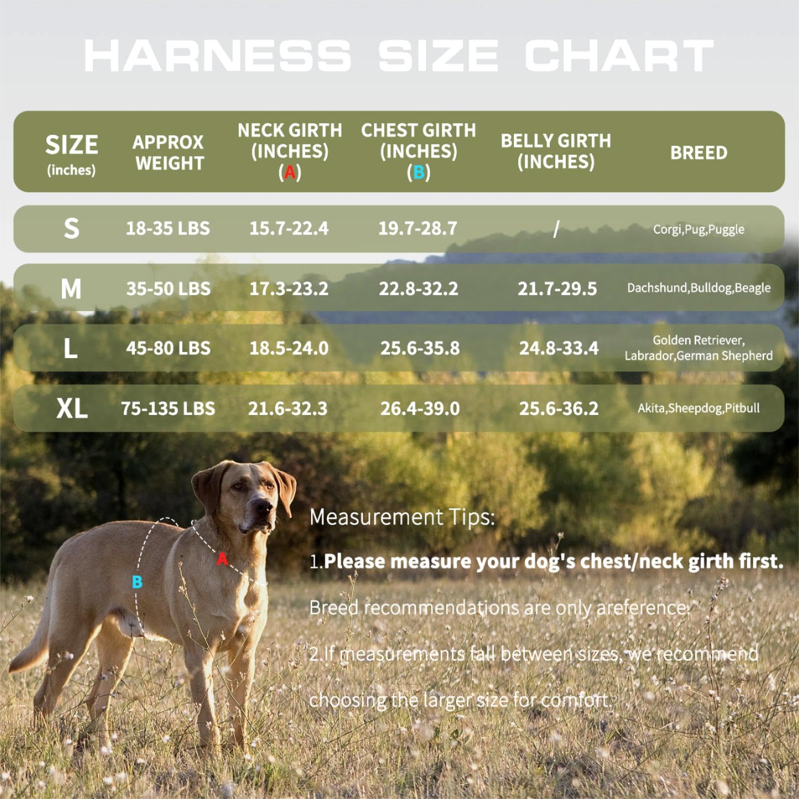 Dog Harness for Large Dogs Heavy Duty, Tactical No Pull Dog Harness with Molle System, Easy On and Off Service Dog Vest, Breatha