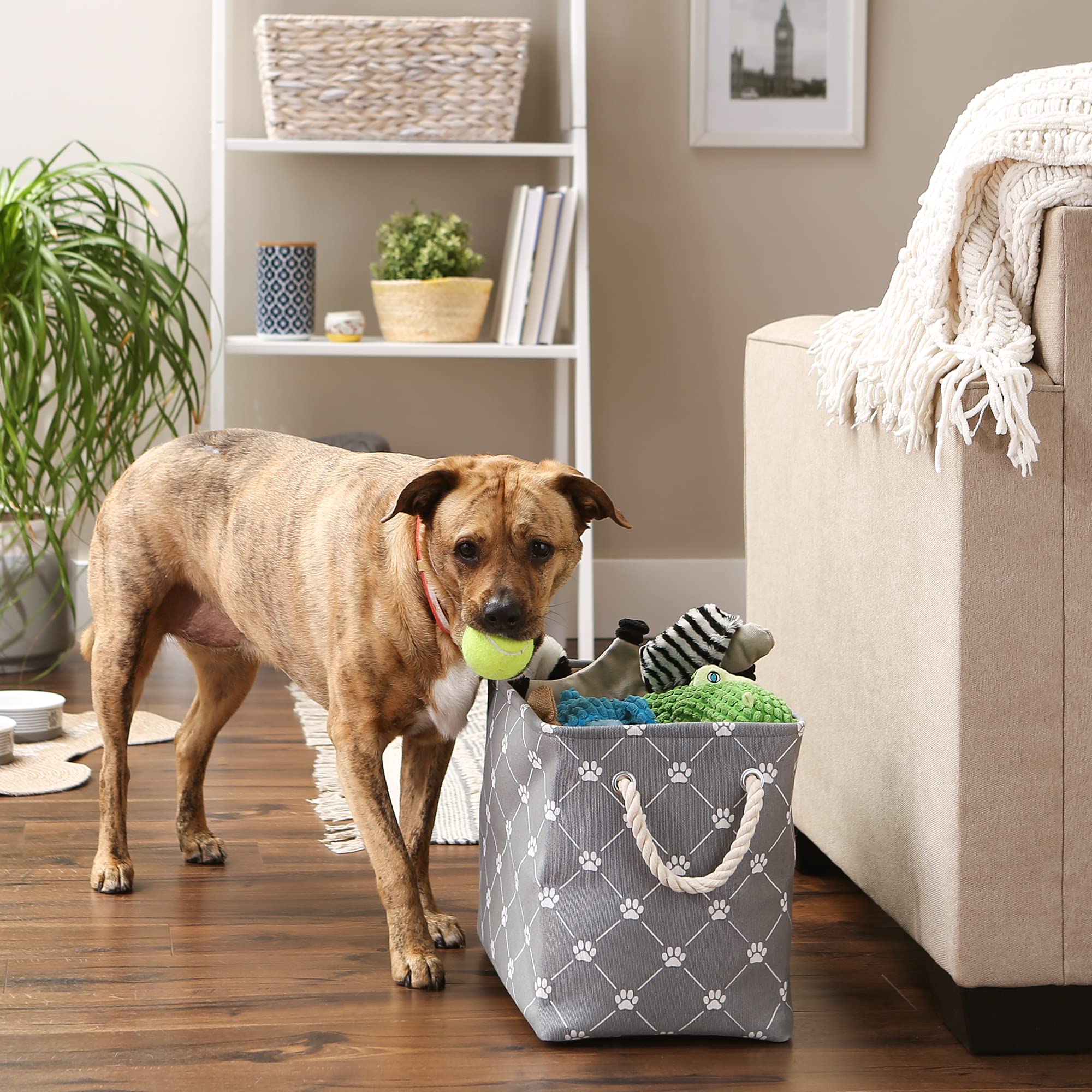 Bone Dry Pet Storage Paw and Bone, Trellis Collection, Medium Rectangle, 16x10x12, Gray