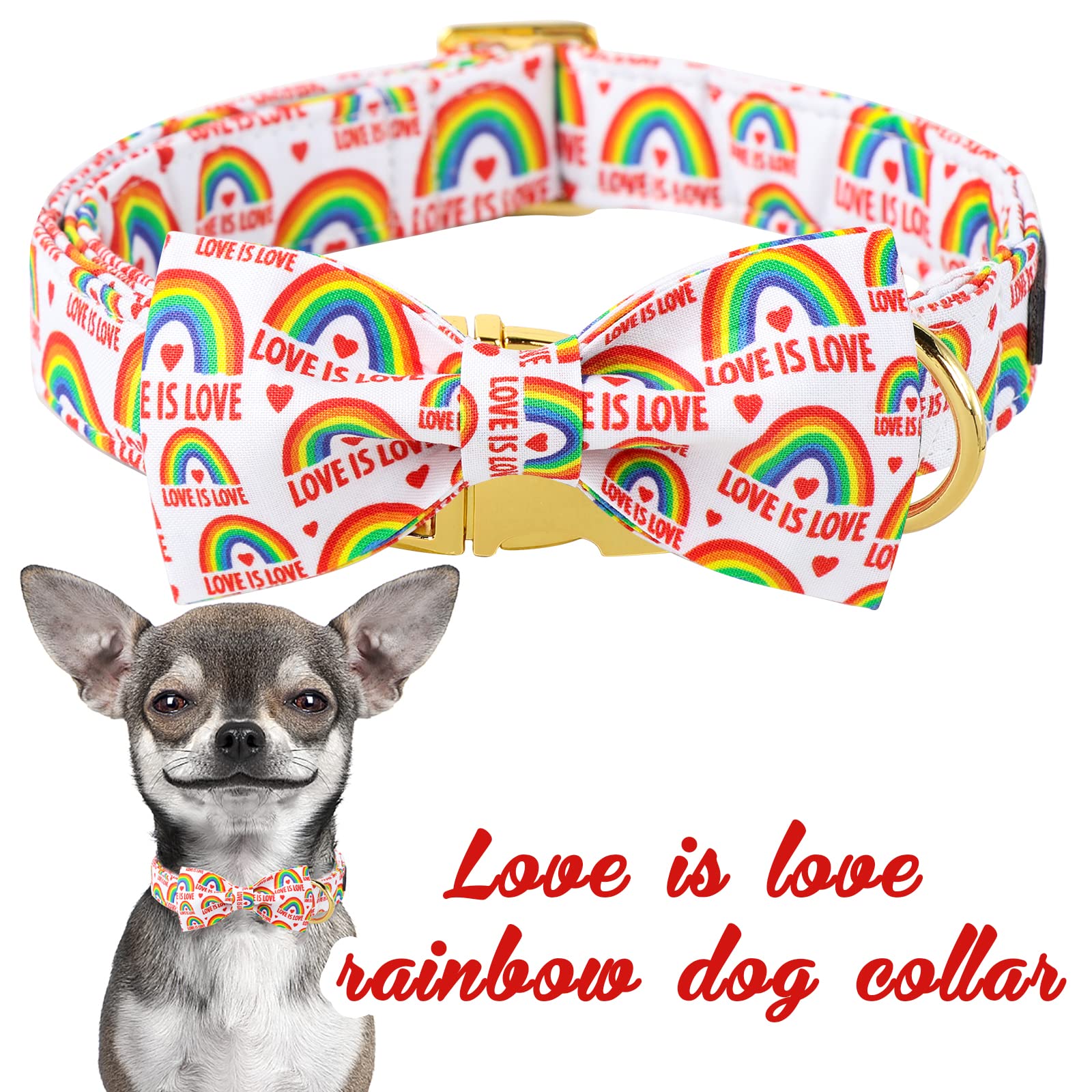 Unique Style Paws Pride Day Rainbow Dog Collar, Love Is Love Best For Small Medium Large Boys Girls Dogs