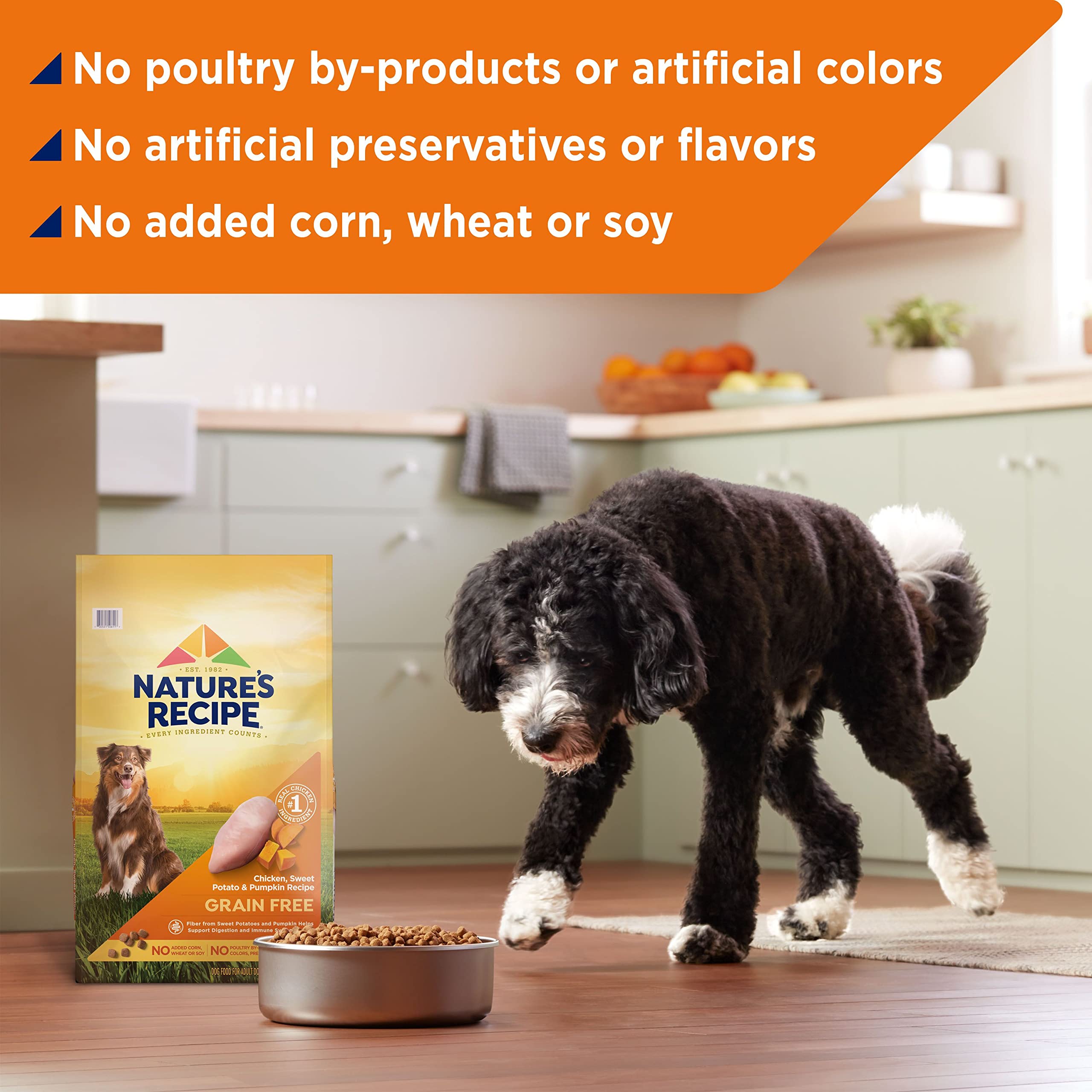 NatureS Recipe Grain Free Chicken, Sweet Potato & Pumpkin Recipe Dry Dog Food, 4 Lb. Bag