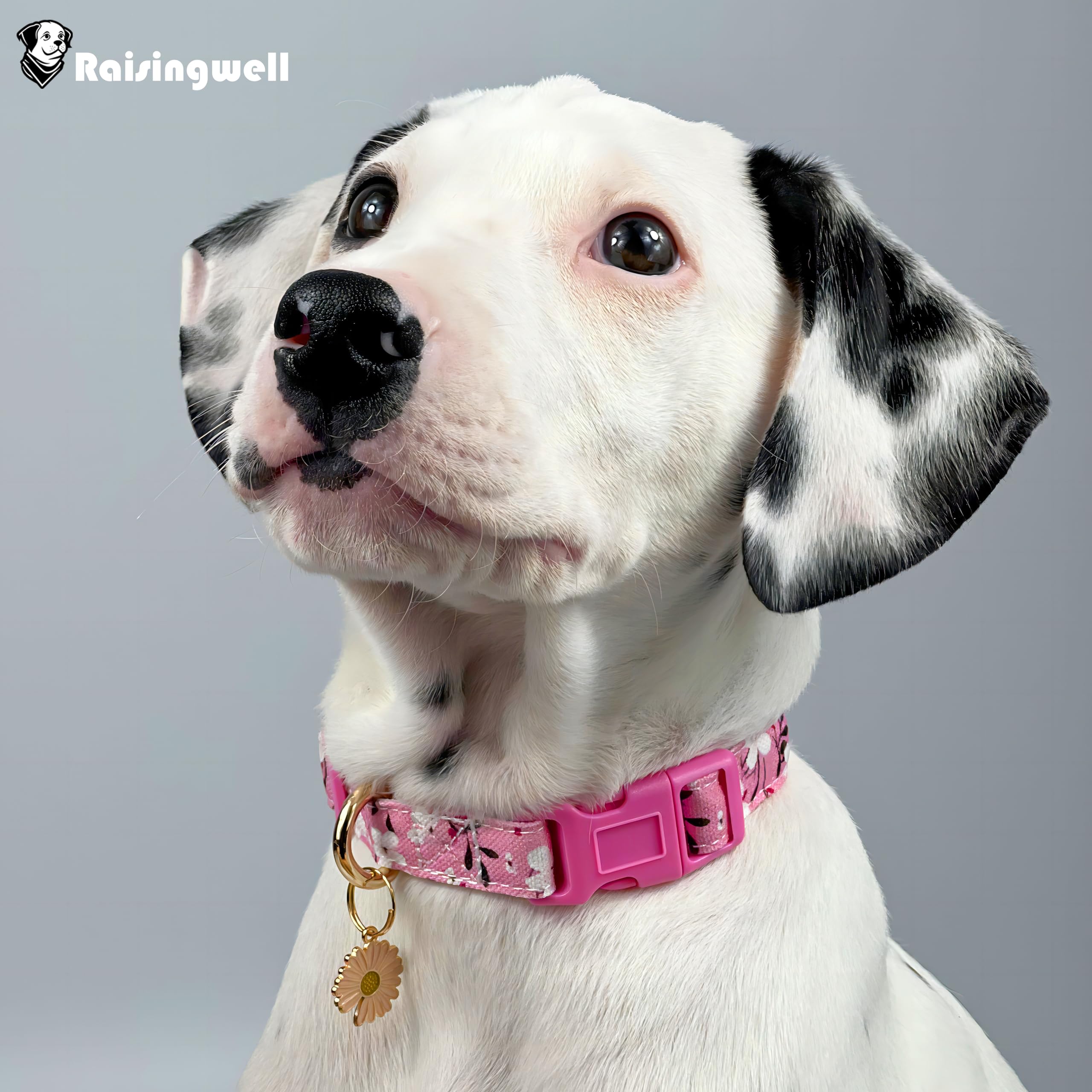 Raisingwell Cotton Dogs Collar Pink Flower Patterns For Boys And Girls Cute Dog Collars Summer Fall Gift Adjustable For Small To