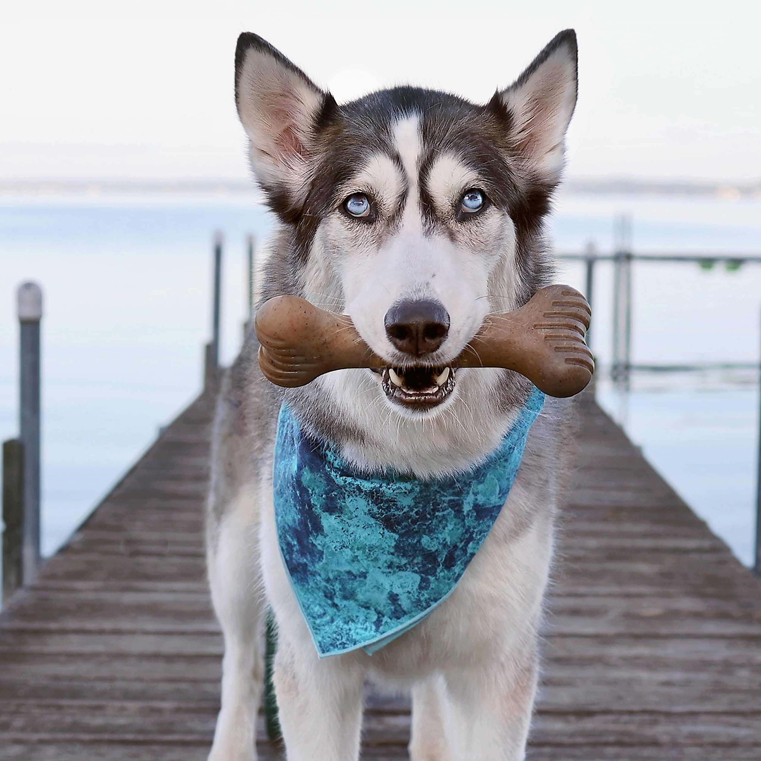 Lumabone Bulkster Durable Chew Toy For Aggressive Chewers, Real Bacon, Made In Usa, Large