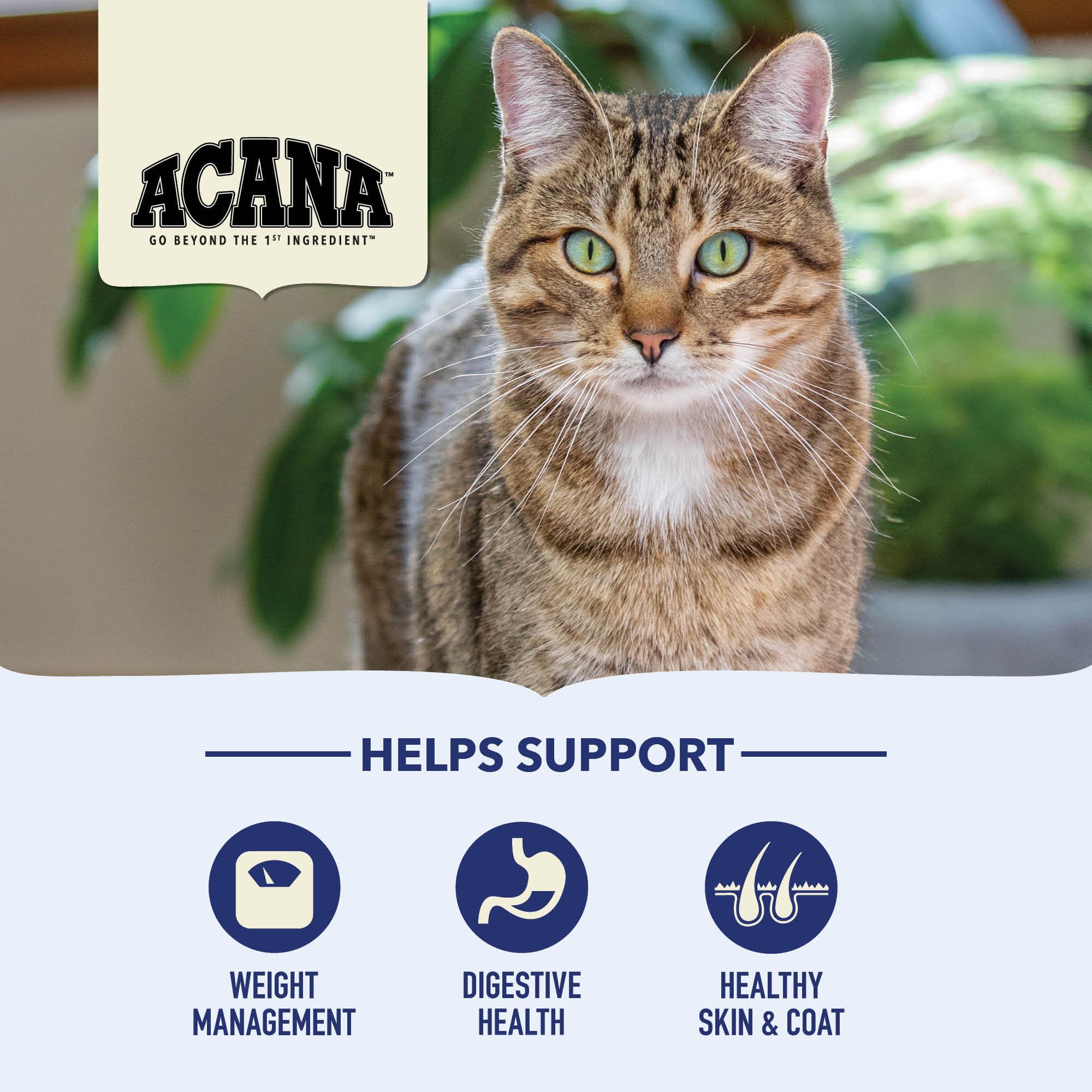 ACANA Indoor Entr  e Fish Recipe Cat 4LB