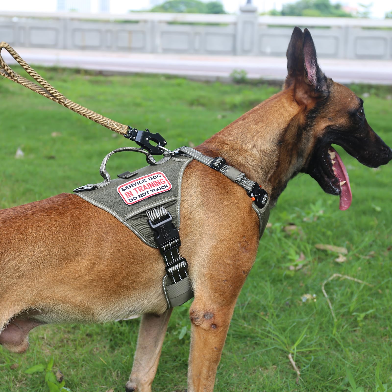 Icefang Gn8 Quick-Moving Tactical Dog Harness With 2Xmetal Buckles For Large Sized Dogs,Reflective K9 Vest,No-Pull Front Leash Clip,5-Points Adjustable Pet Harness (Green, Large (Pack Of 1))