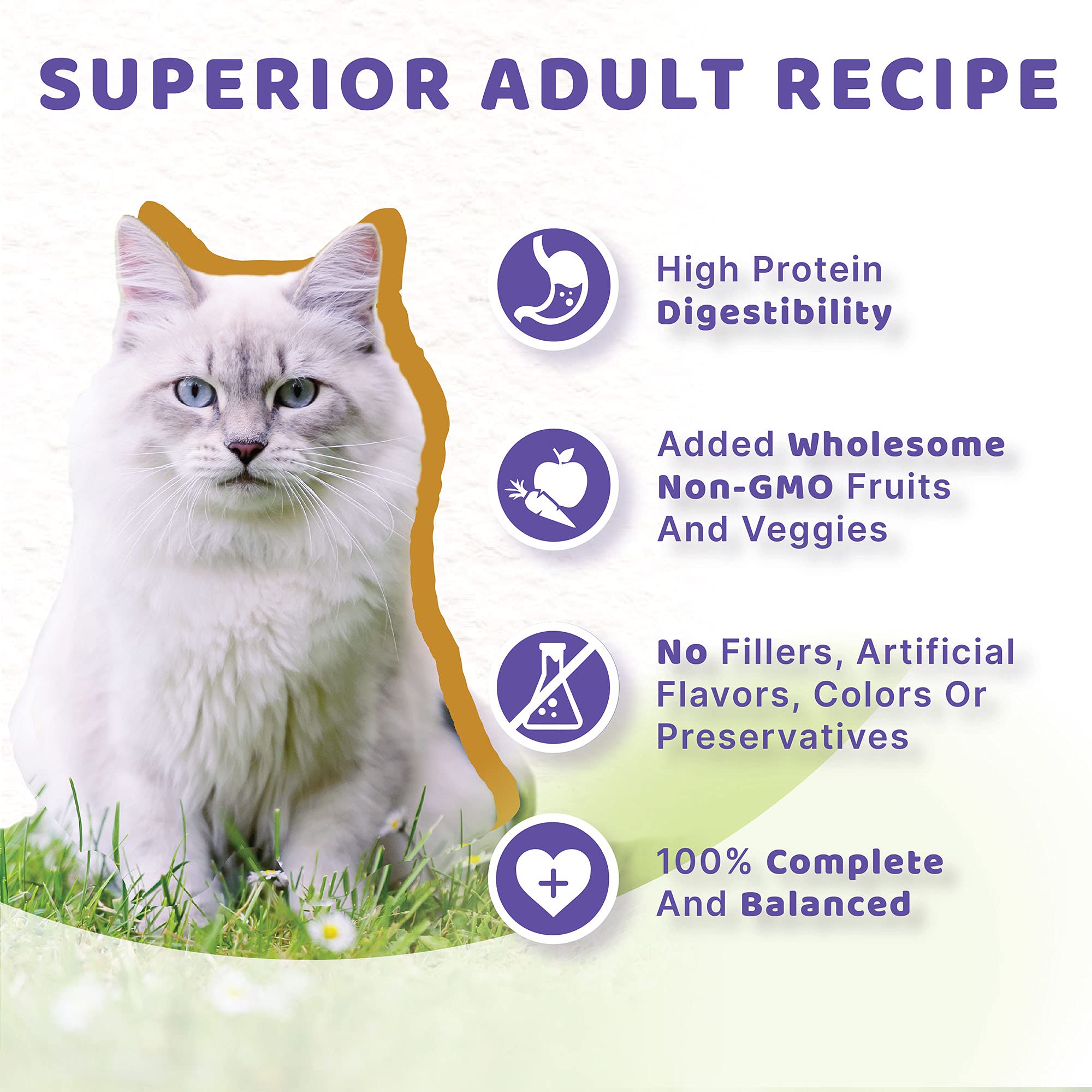 Halo Wet Cat Food Whole Turkey Stew Recipe, Grain Free Wet Cat Pate, Canned Cat Food for Extra Hydration, 5.5 Oz Can (Pack of 12