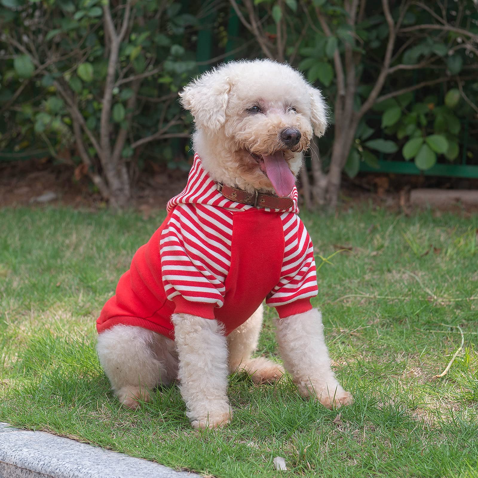 Cutebone Dog Hoodie Shirts Pet Clothes With Hat Red Stripes Dh01Xs
