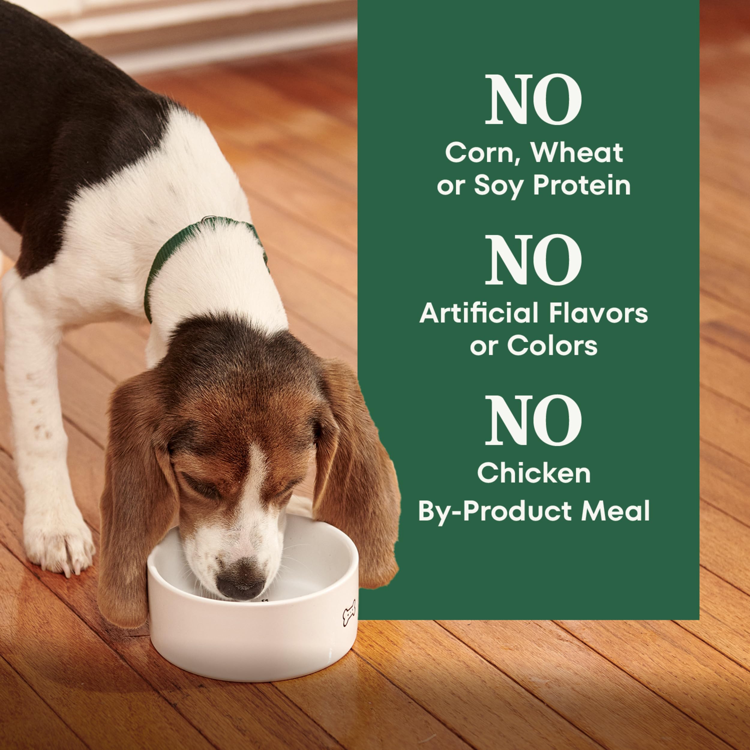 Nutro Natural Choice Puppy Dry Dog Food, Chicken and Brown Rice Recipe, 13 lbs.
