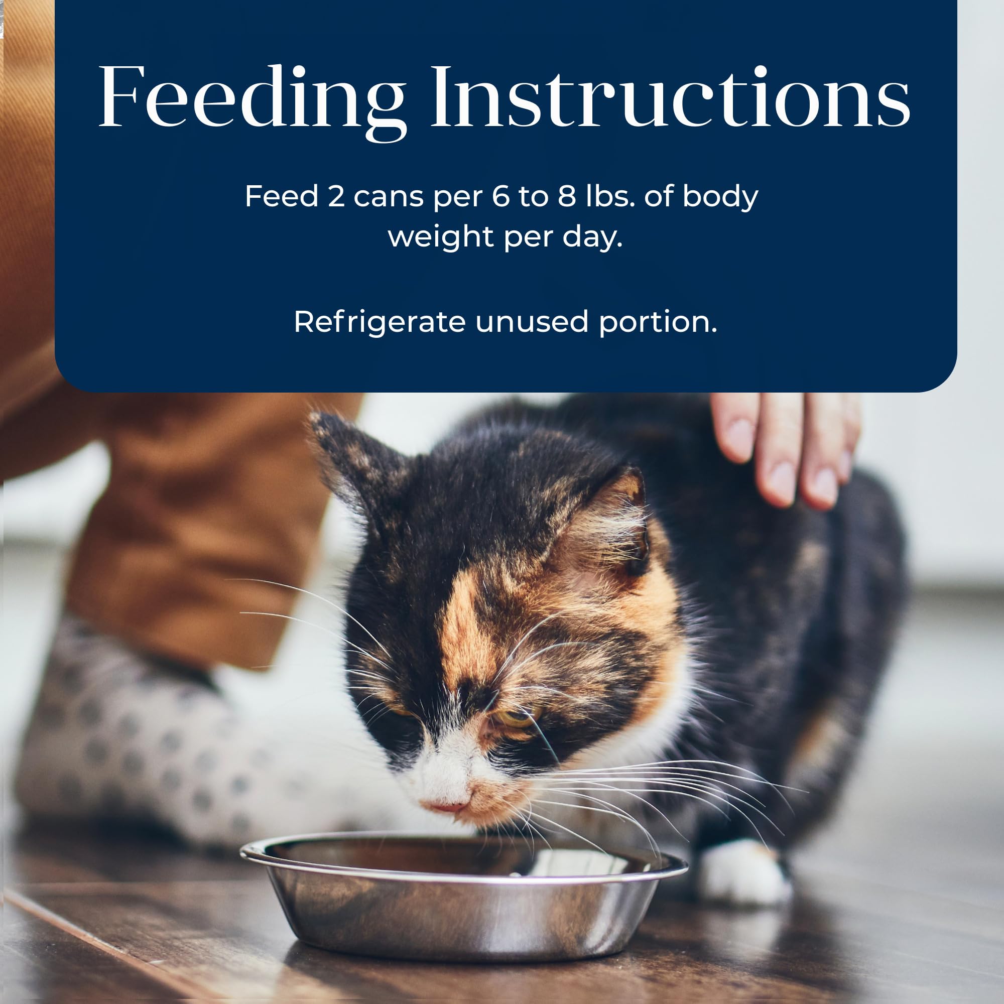 Blue Buffalo Basics Grain-Free Wet Cat Food, Skin & Stomach Care, Limited Ingredient Diet for Indoor Cats, Duck & Potato Entr  e