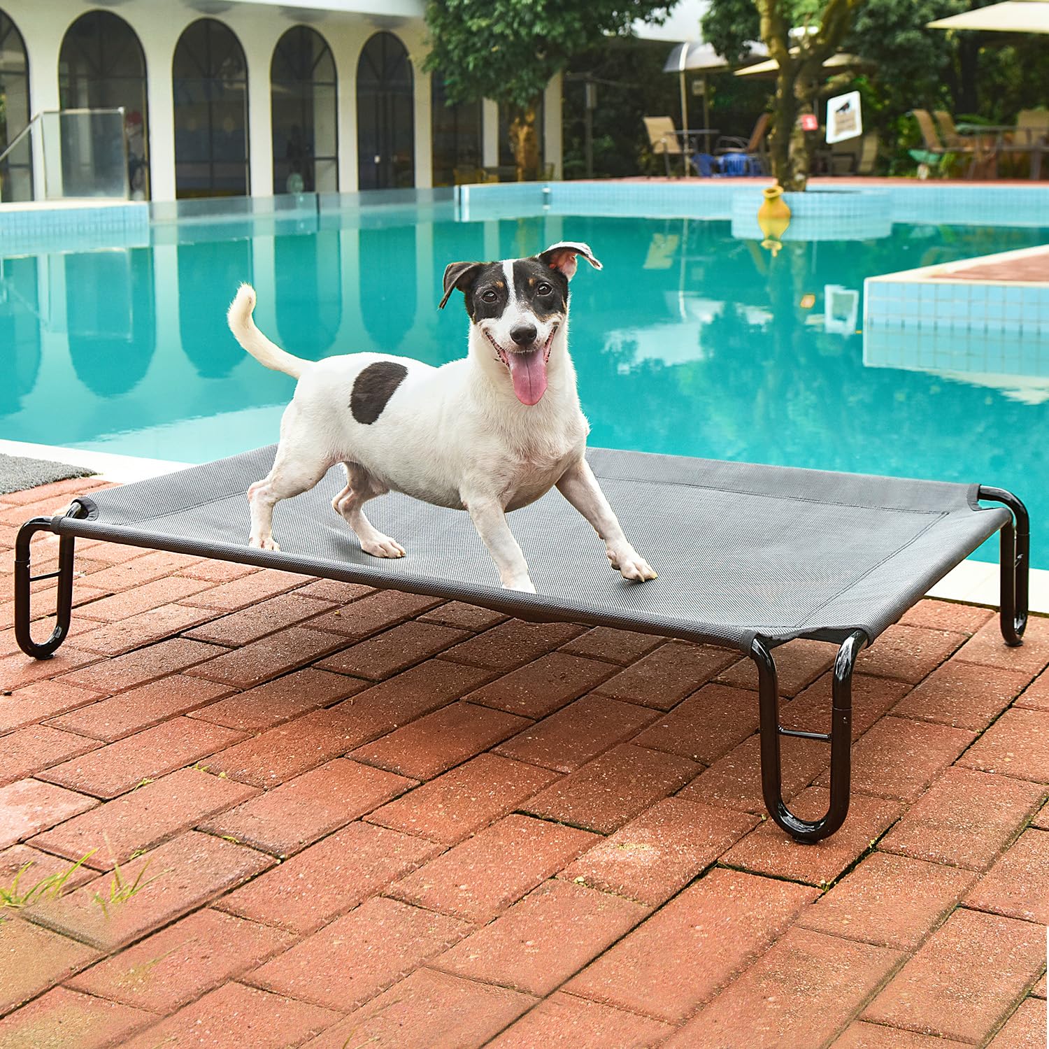 Pettycare Elevated Outdoor Dog Bed - Dog Cots Beds For Small Dogs, Waterproof Raised Dog Bed Easy To Assemble, Cooling Elevated Dog Bed With Teslin Mesh, Durable, Non Slip, Up To 35 Lbs,Grey
