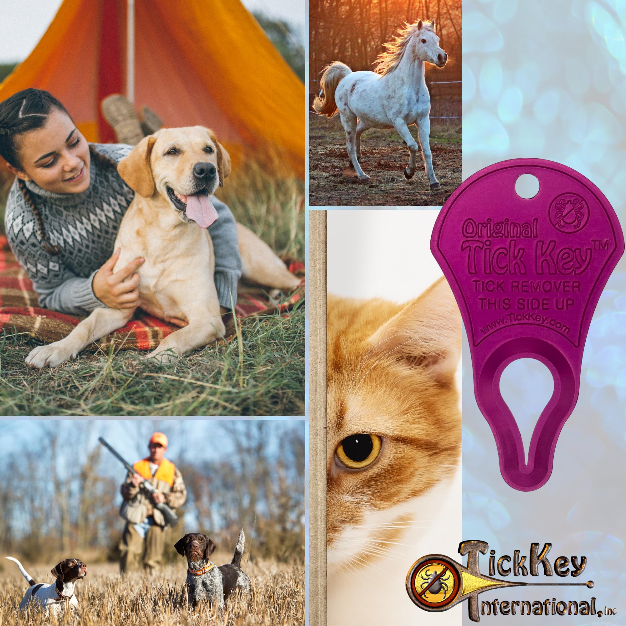 The Original Tick Key - Tick Detaching Device - Portable, Safe And Highly Effective Tick Detaching Tool (Pink)