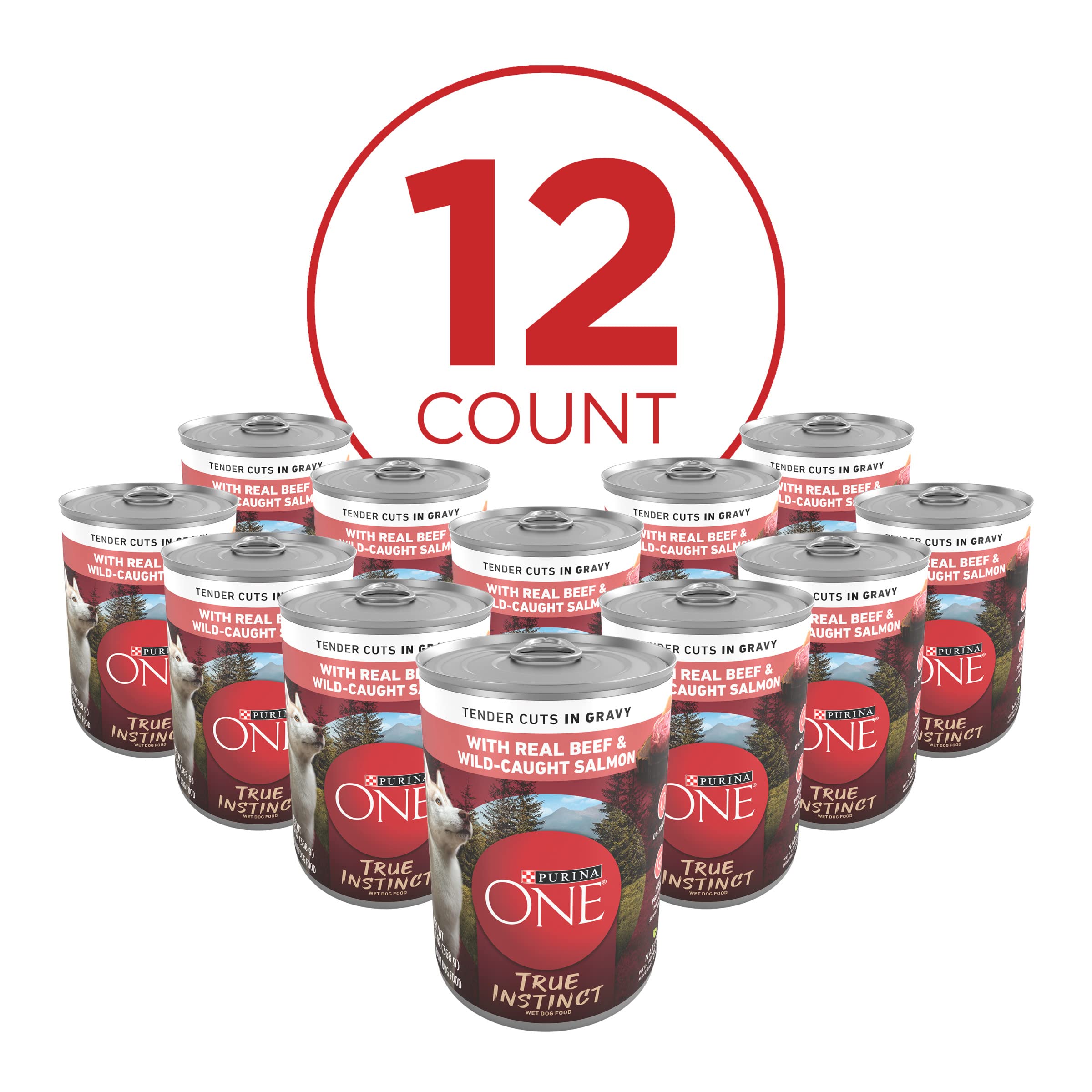 Purina ONE High Protein Wet Dog Food True Instinct Tender Cuts in Dog Food Gravy With Real Beef and Wild-Caught Salmon - (Pack o