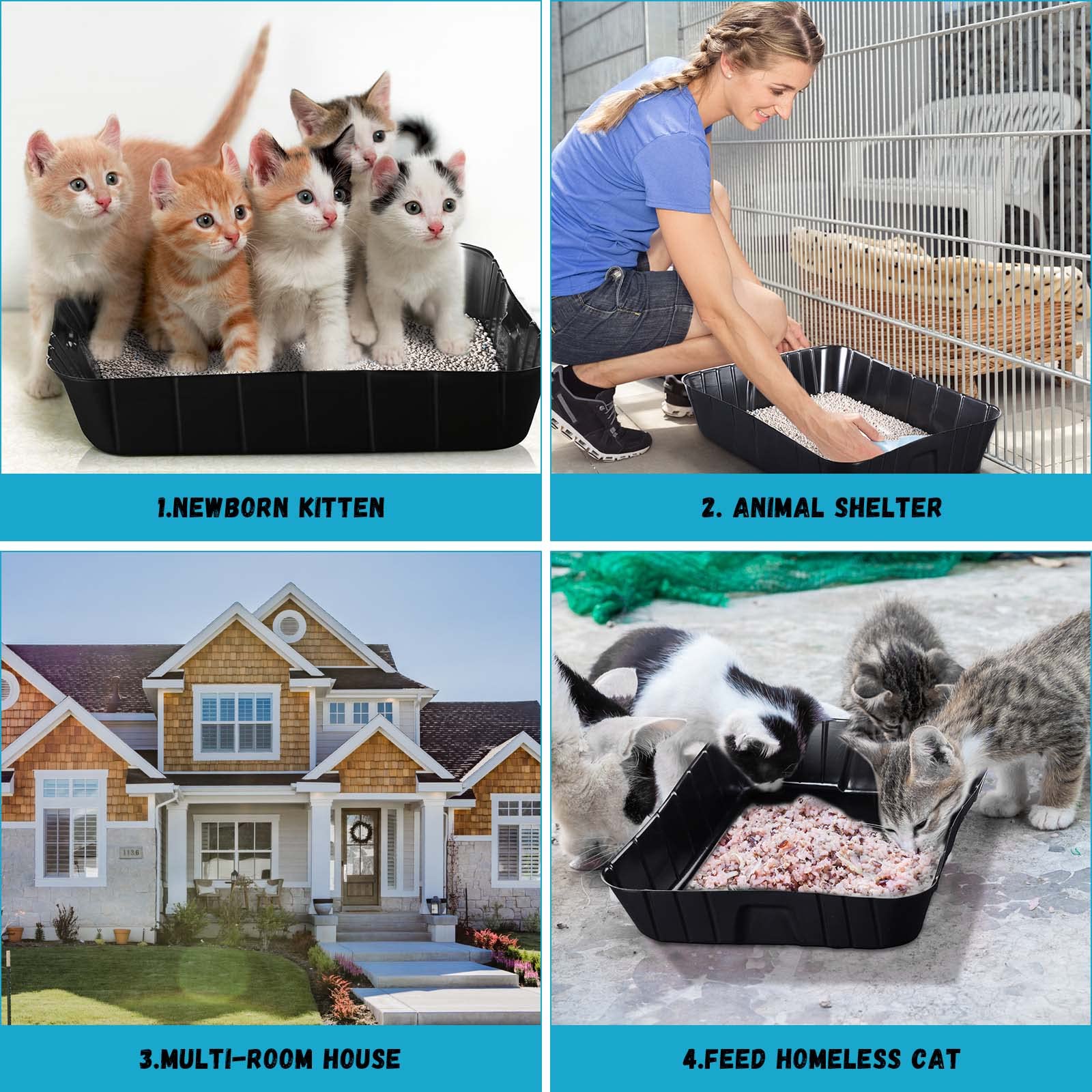 Bokon 50 Pack Disposable Litter Boxes for Cats - Small Black Plastic Litter Tray, 15.7 x 11.8 x 3 Inches, Ideal for Indoor Pets