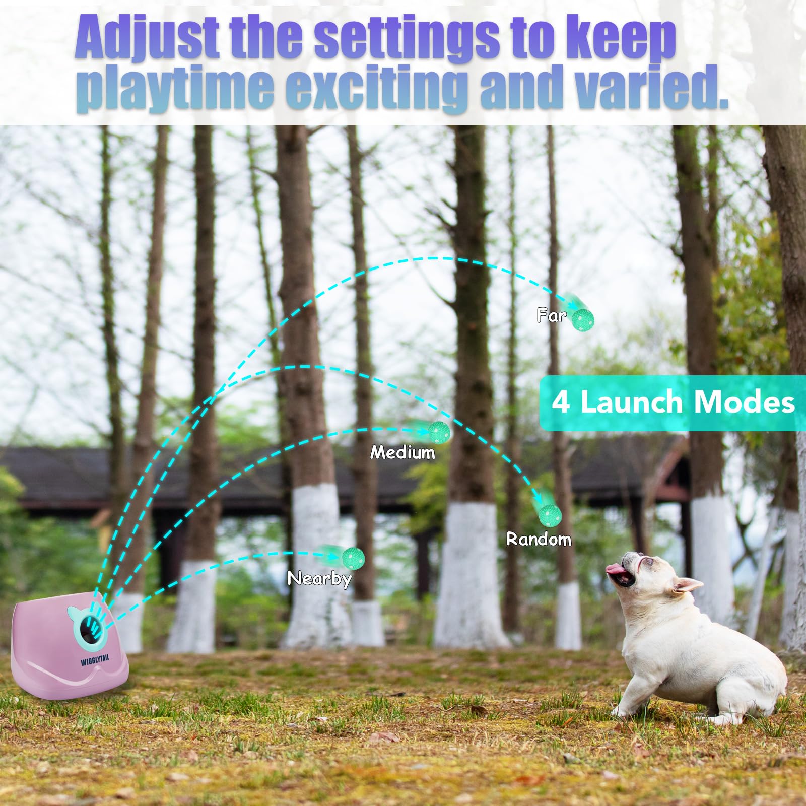 Automatic Dog Ball Launcher, Dog Ball Fetch Machine With Remote Control, Auto Ball Thrower For Small Dogs And Puppies, Pet Self