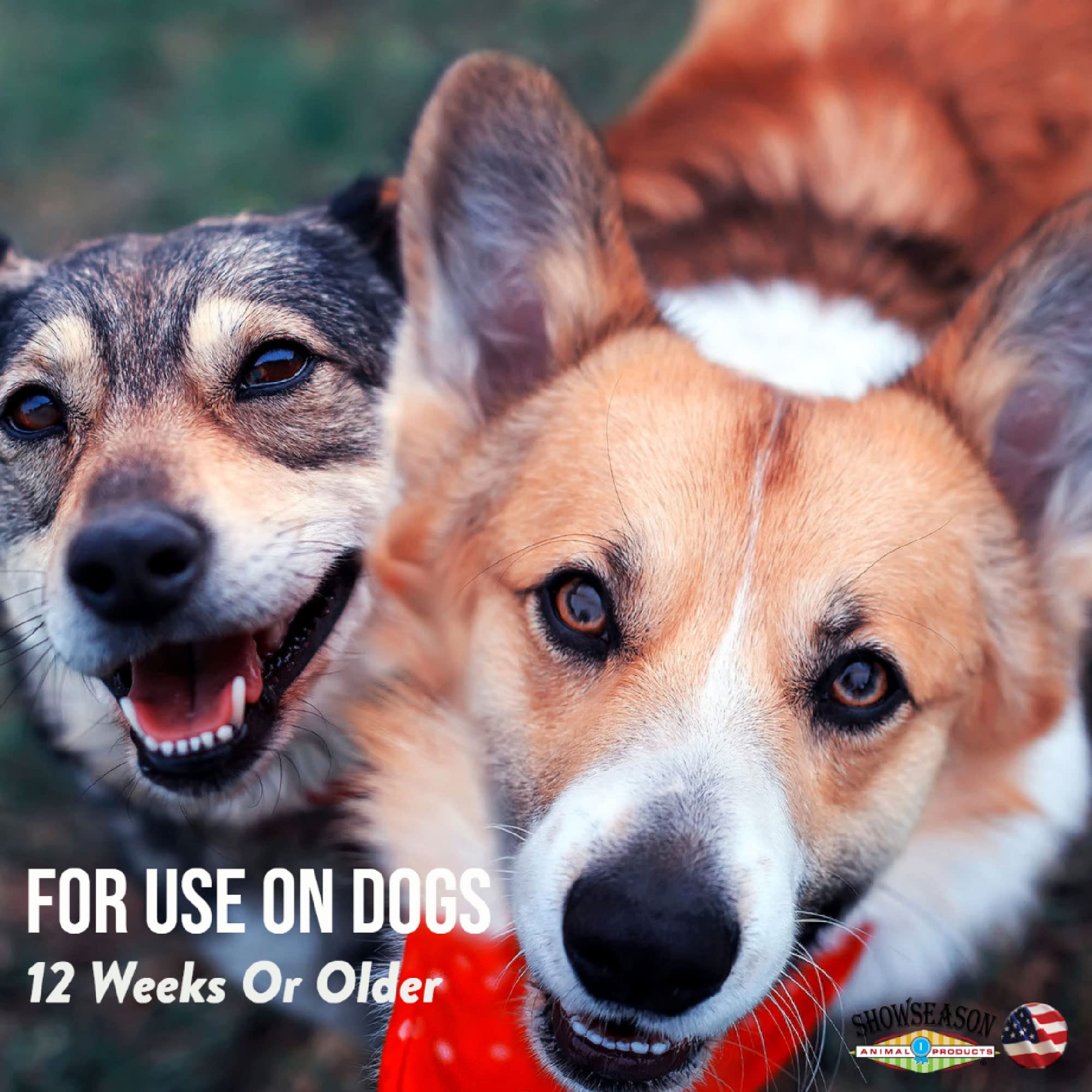 Showseason Toasted Almond Pet Cologne 8.5 Oz For Dogs | Long-Lasting Odor Eliminator | Cruelty-Free | Paraben-Free | Biodegradab