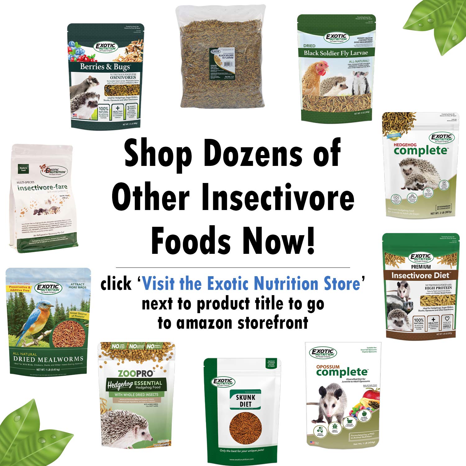 Exotic Nutrition Berries & Bugs - High Protein High Fiber Food for Hedgehogs, Skunks, Opossums, Sugar Gliders, 1.5 lb