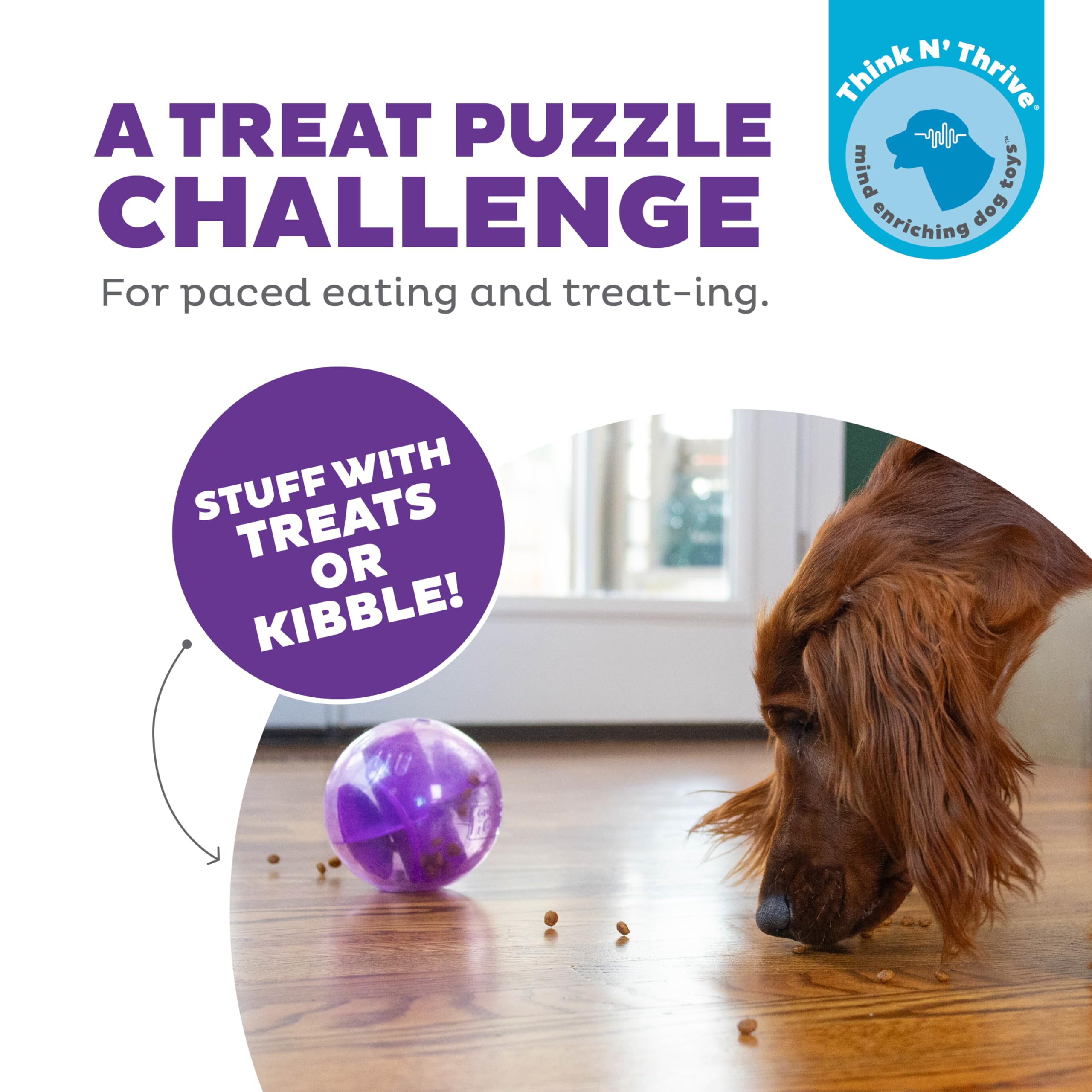 Outward Hound By Planet Dog Mazee Puzzle Ball Interactive Treat Dispensing Dog Toy, Purple