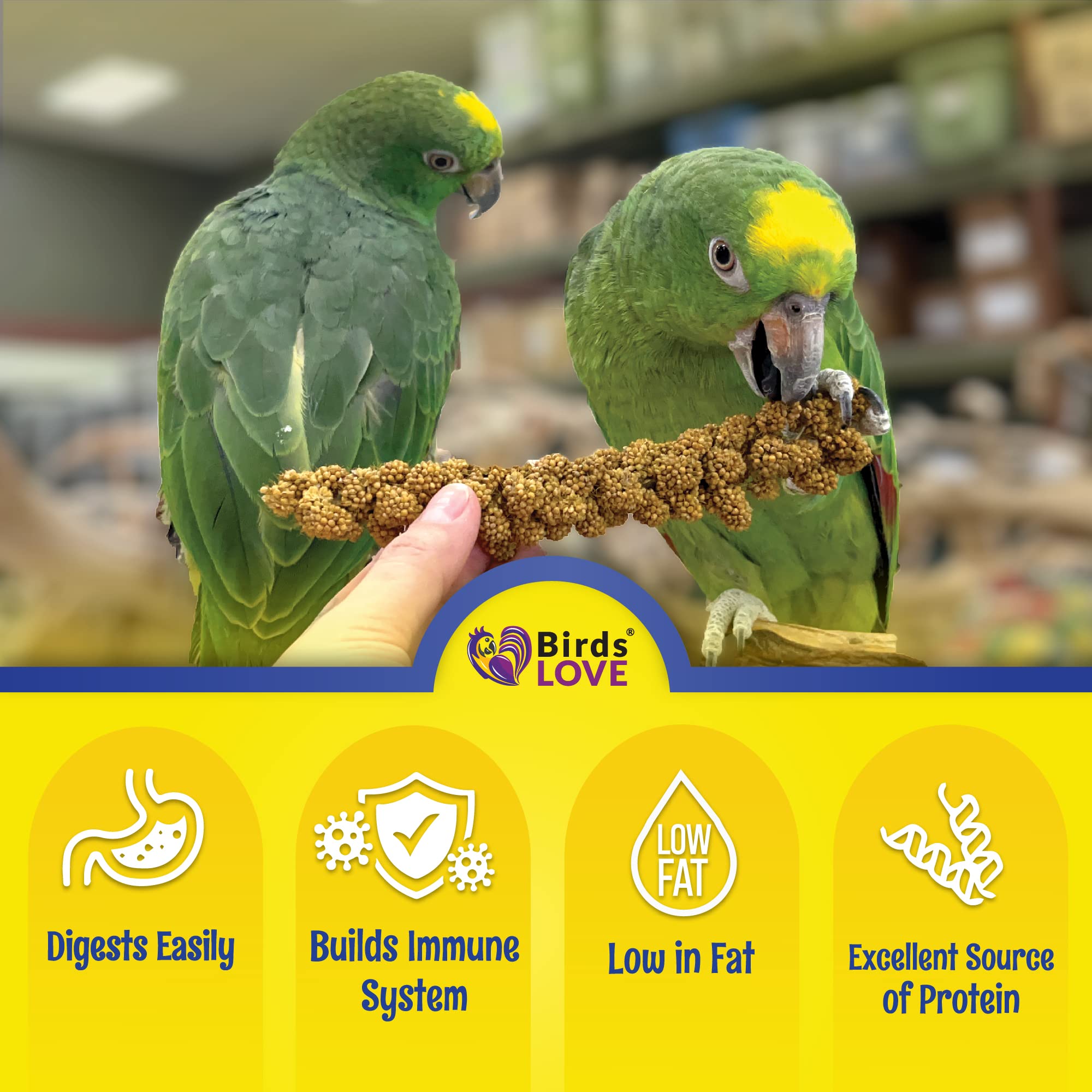 Birds LOVE Economy & Thin Special Spray Millet GMO-Free (No Stems Only Edible Tops) for Birds Cockatiel Lovebird Parakeet Finch