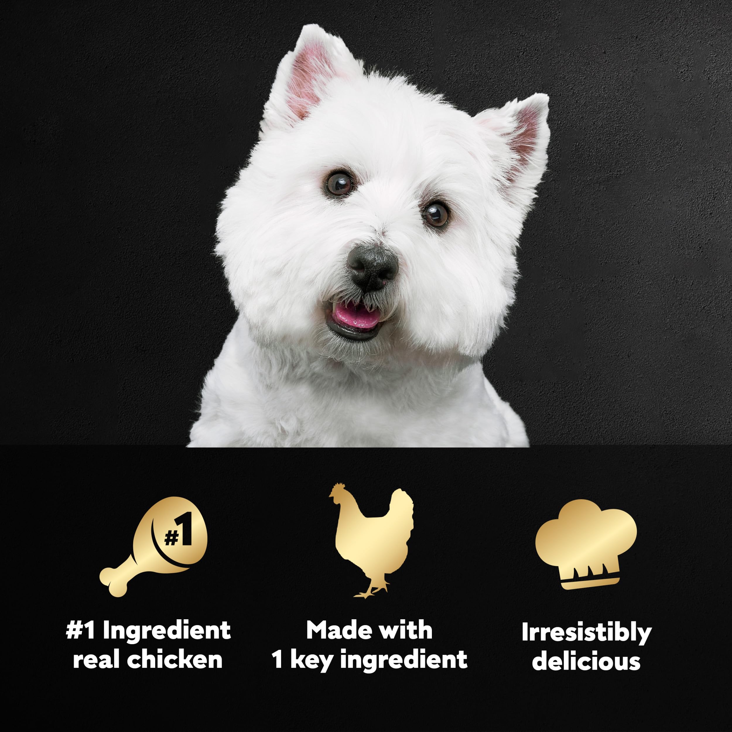 Cesar Simply Crafted Adult Wet Dog Food Meal Topper, Chicken, 1.3 oz. (10 Count, Pack of 1)