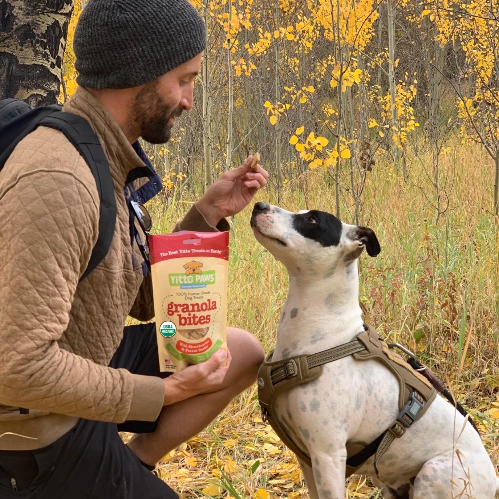 Crunchy Organic Peanut Butter Dog Treats, Strawberry & Oats Healthy Dog Treats, Vegan All Natural Dog Training Treats Made in US