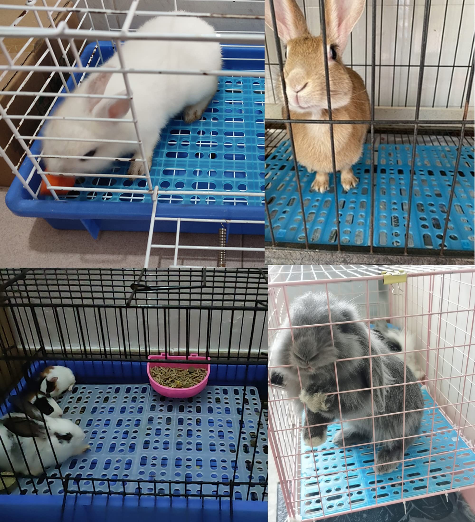 Jslzf Rabbit Cage Mat For Feet, 4 Pcs Plastic Rabbit Feet Pad Bunny Cage Floor Mat For Small Animal Resistant To Chew, Washable,
