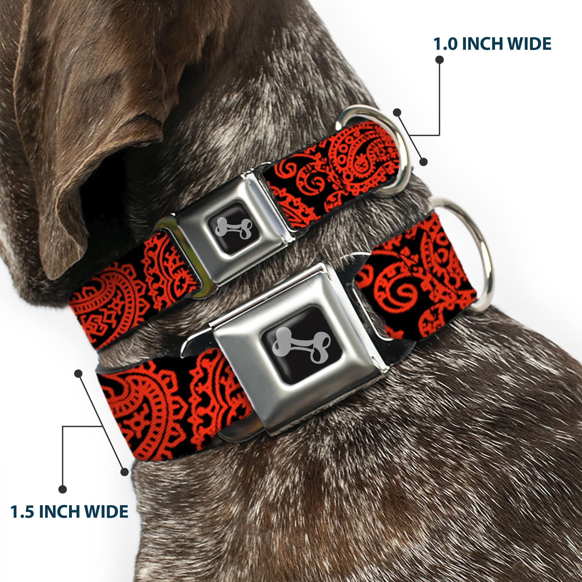 Dog Collar Seatbelt Buckle Bandana Skulls Black Orange 13 To 18 Inches 1.5 Inch Wide