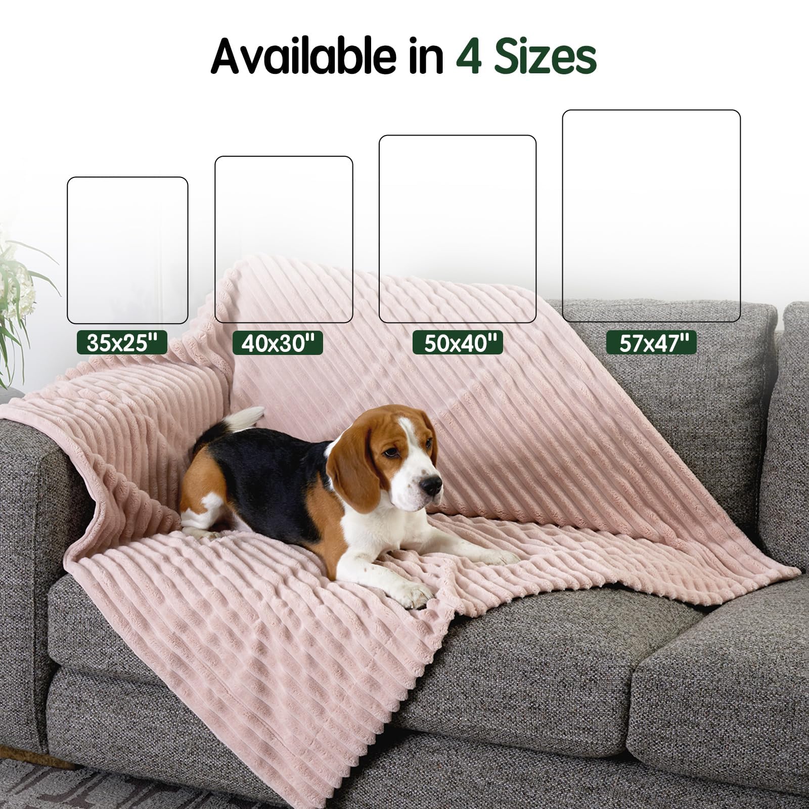 BALANCE Waterproof Dog Blanket for Small Dogs, Washable Double Sided Pet Blankets with Milk Plush and Super Soft Velvet, Pee Pro