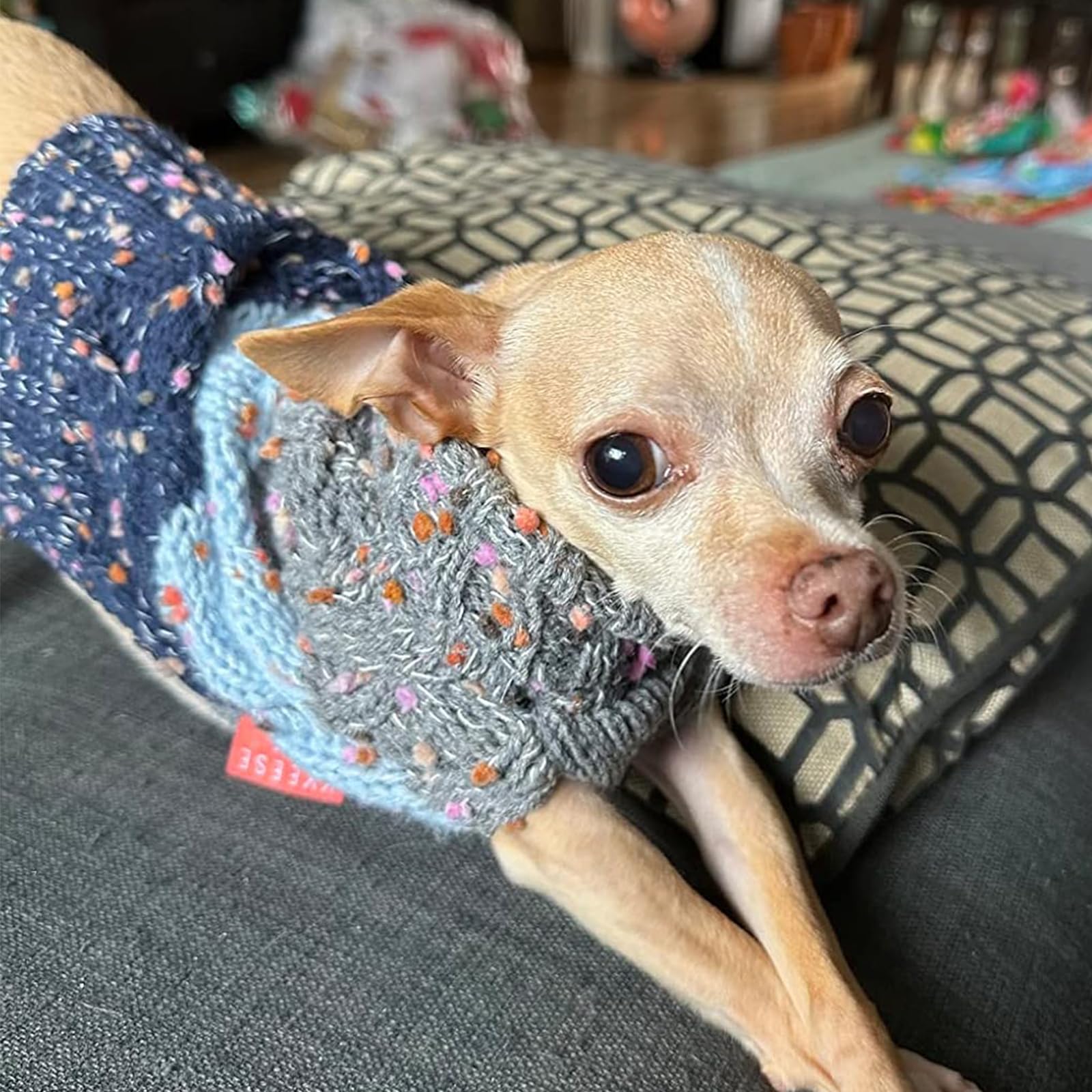 Kyeese Dog Sweater Color Block With Fuzzy Thread Knitted Turtleneck Dog Knitwear With Dots In A Variety Of Colors For Small Dogs