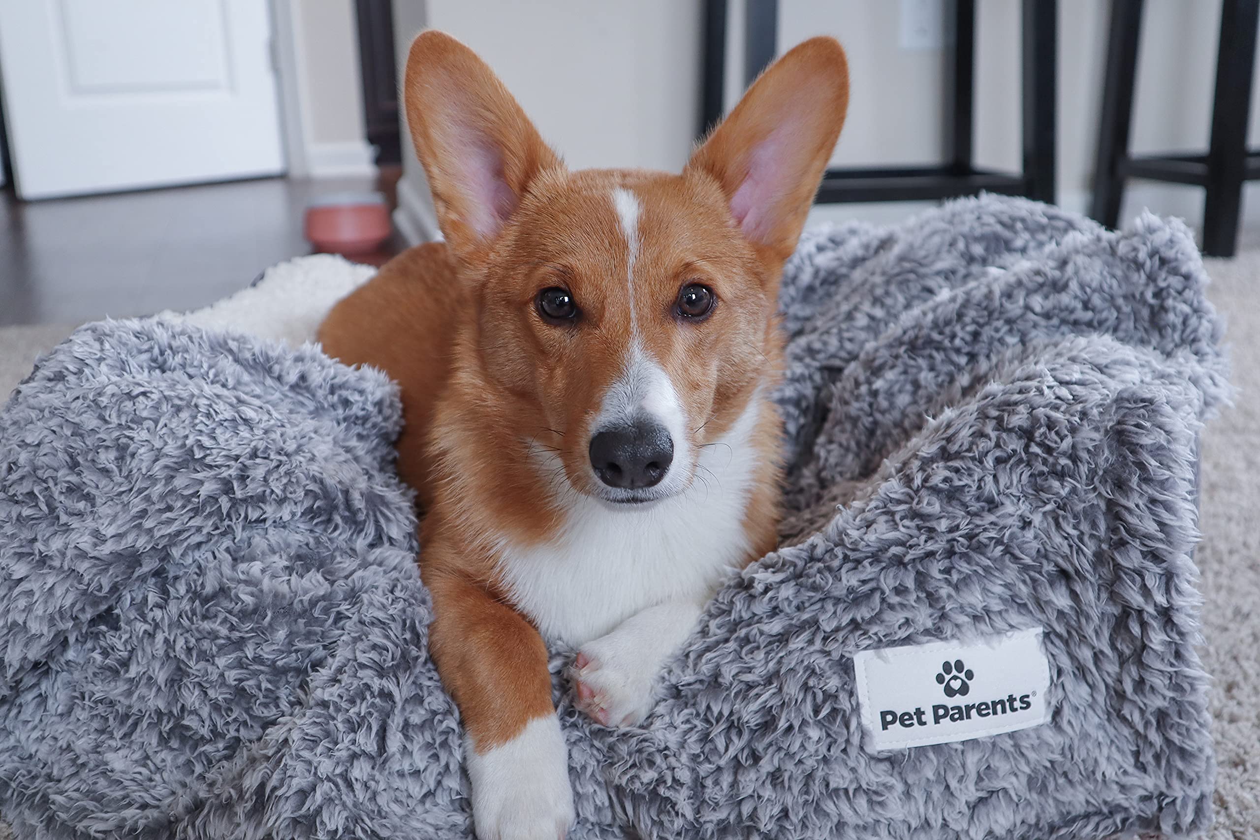 Pet Parents Water Resistant Pet Blanket, Slate, 24x32, Ideal for Small to Large Dogs, Couch Use