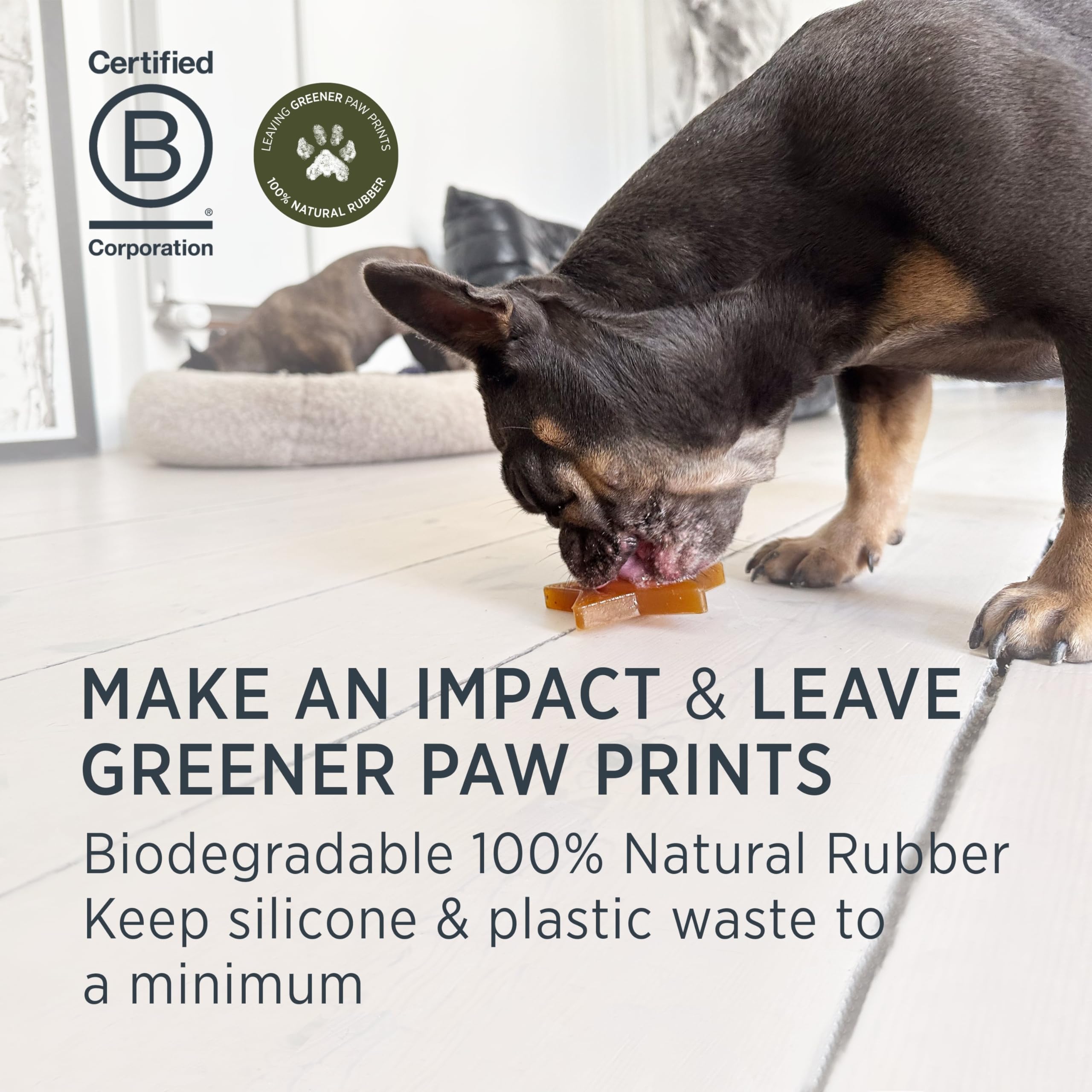 Hevea Star Treat Dog Activation Toy (Hunter Green) - Natural Rubber Dog Chew Toy for Sore Gum Relief - Tested and Safe for Your