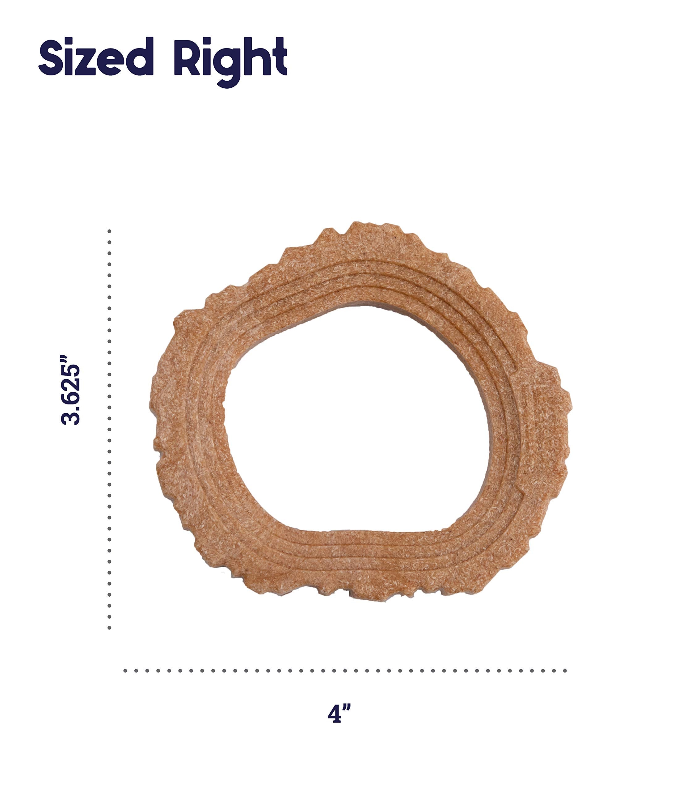 Petstages Dogwood Ring Dog Chew Toy, Small