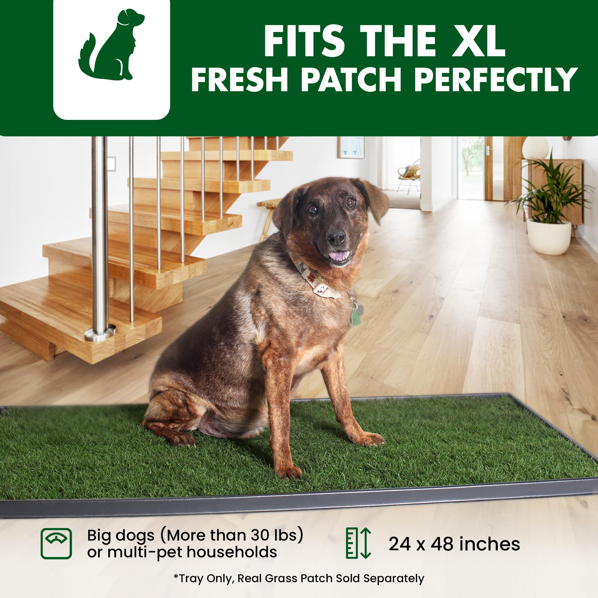 Fresh Patch Plastic Tray For Xl Real Grass Pee And Potty Training Pads For Large Dogs And Multi-Dog Households - 4 Ft X 2 Ft Mul