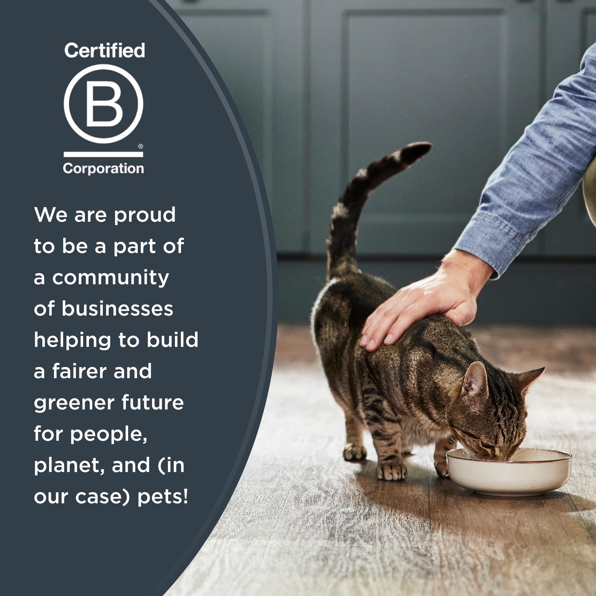 Reveal Natural Wet Cat Food, Grain Free, Chicken Breast in Gravy, 24 Count, 2.47 oz Cans