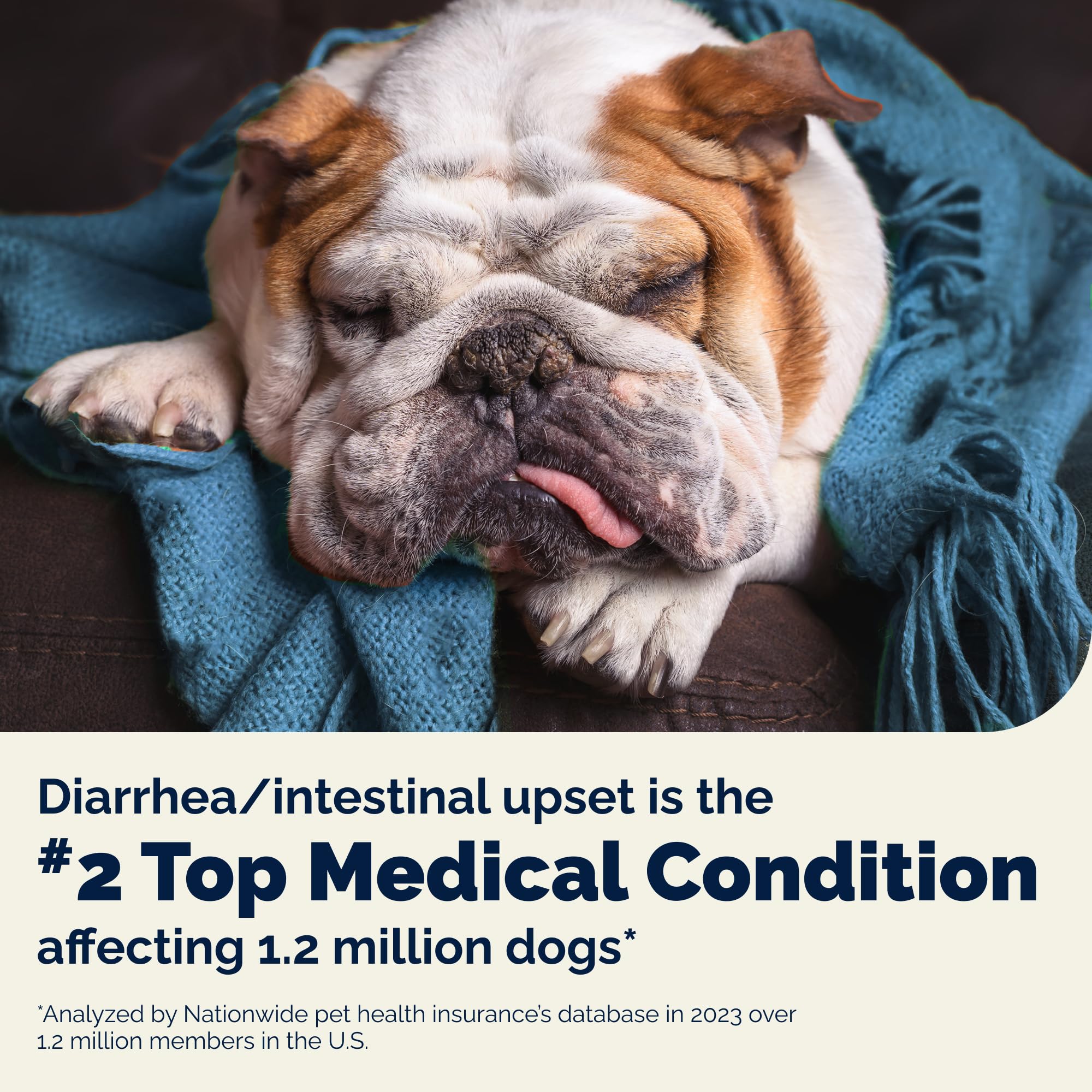 Vetnique Glandex Daily Probiotics for Dogs with Prebiotics to Support Gut Health with Fiber and Digestive Enzymes, Probiotic Che